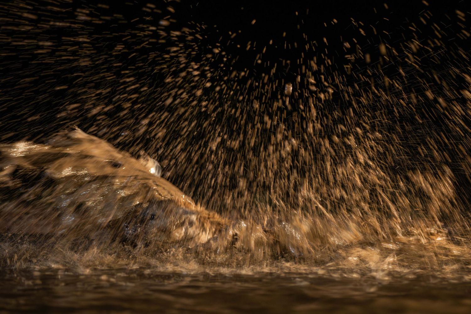 Water droplets explode dramatically in warm golden light against a dark background at night.