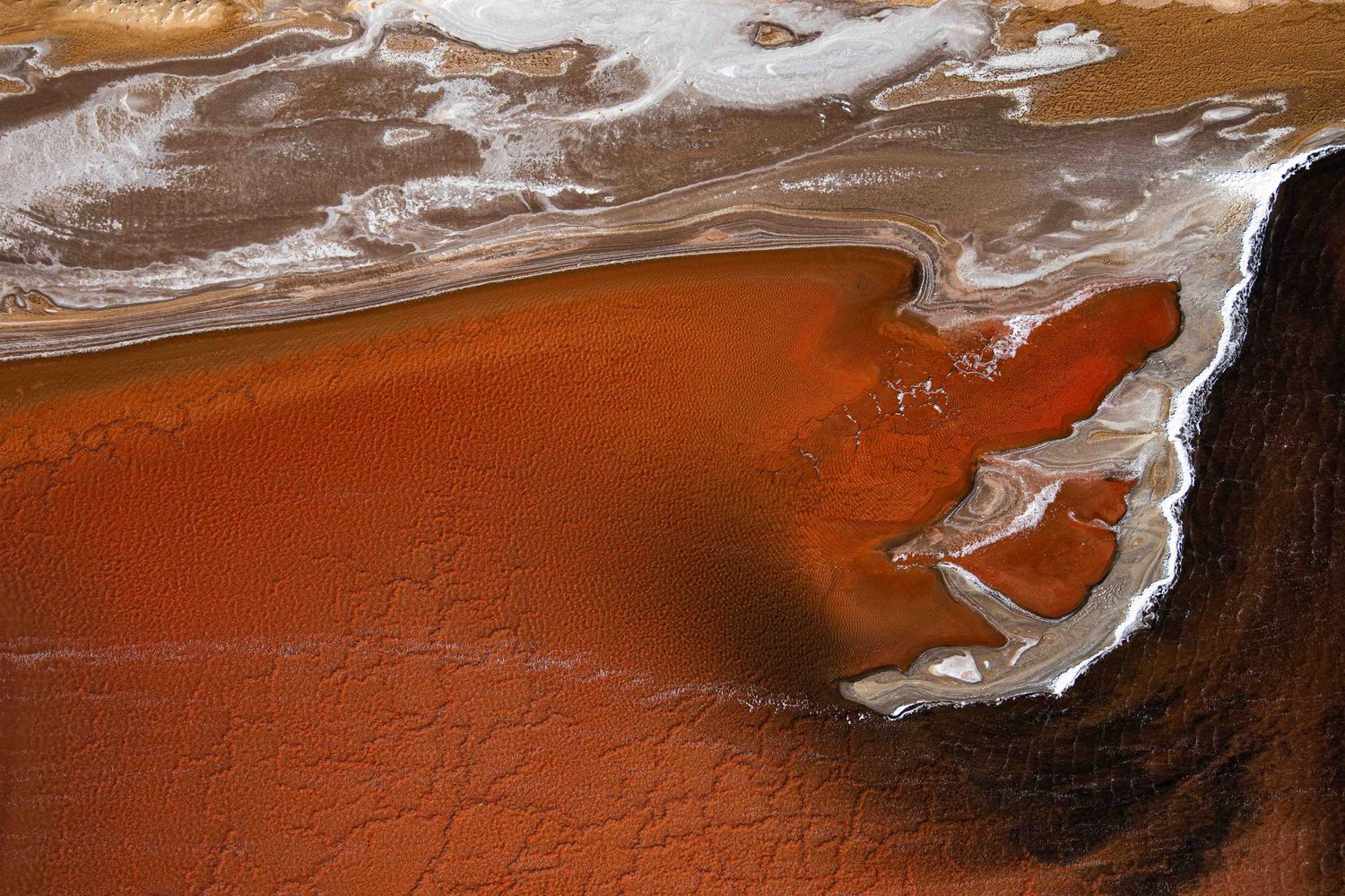 Abstract aerial view of rust-red mineral deposits and white salt formations along a shoreline.
