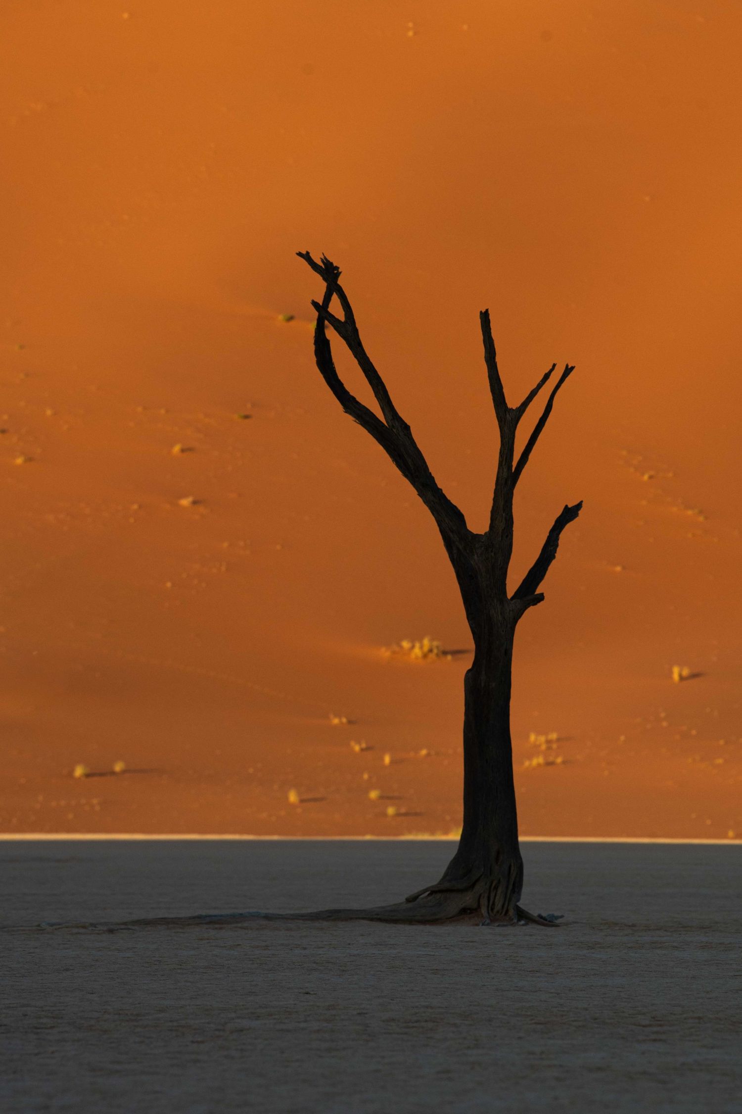 Solitary dead tree silhouetted against a glowing orange sand dune on the white clay pan of Deadvlei.