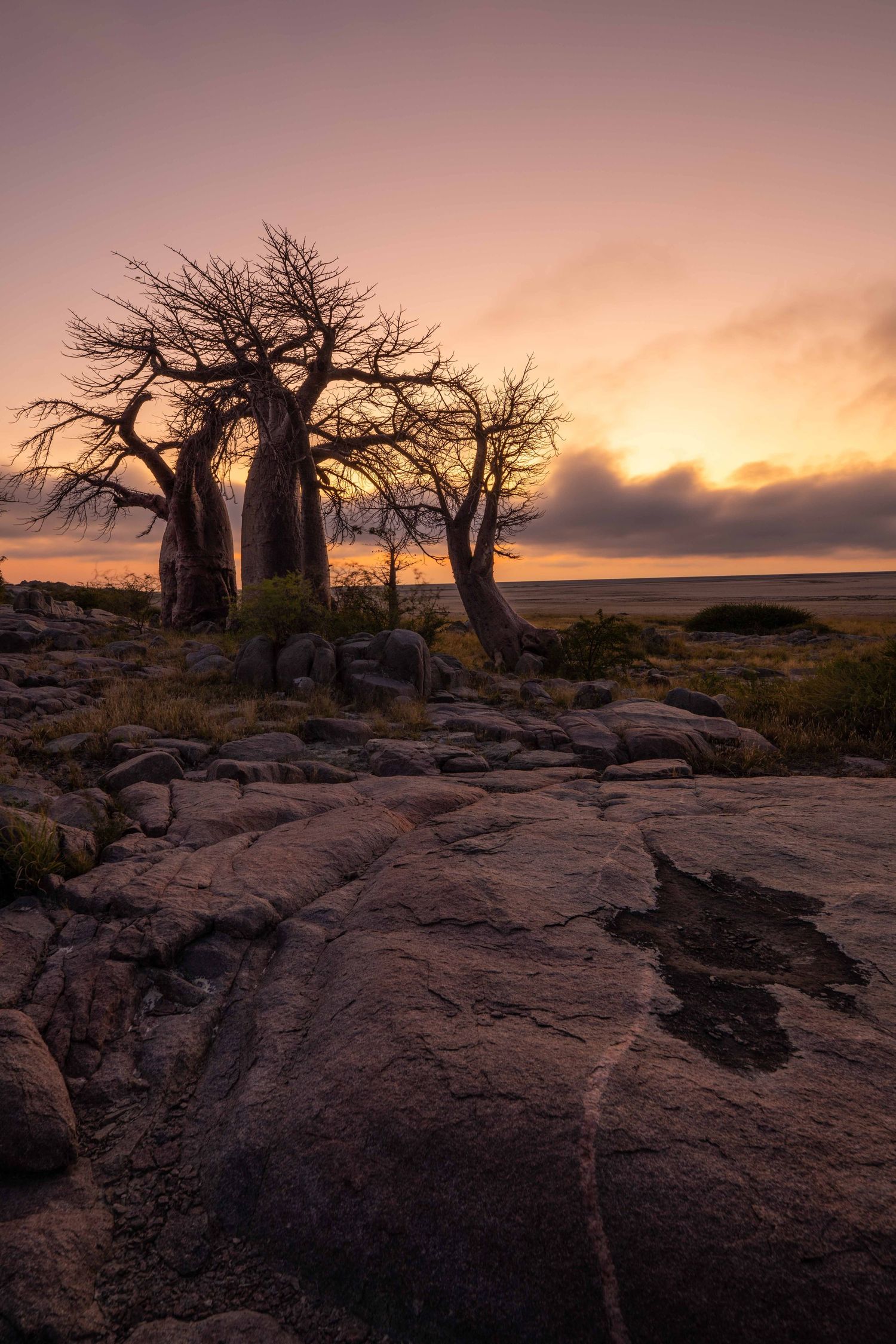 Silhouetted baobab trees on rocky terrain against a vivid orange and purple sunset sky.