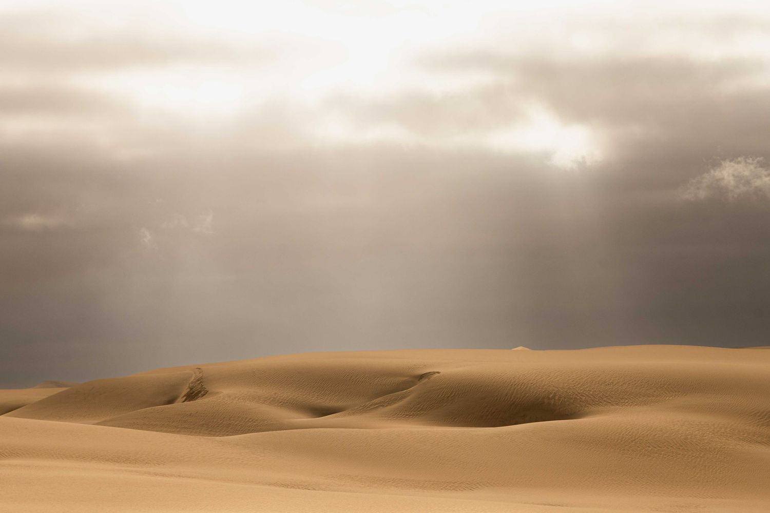 Sunbeams break through stormy clouds over rolling golden sand dunes in a vast desert.