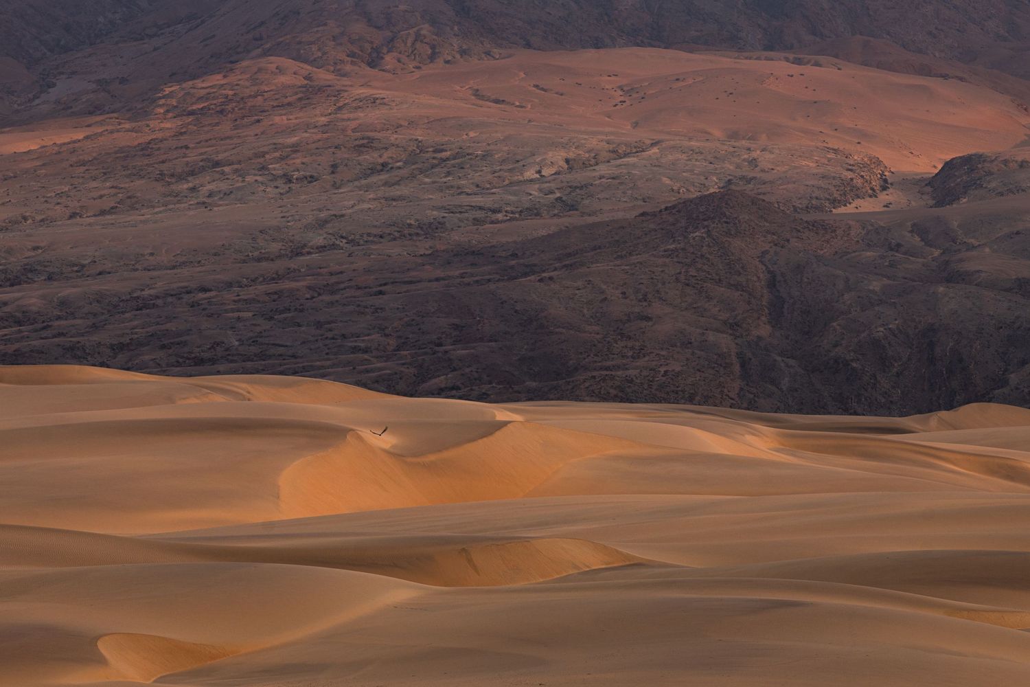 Golden sand dunes contrasting with rugged dark mountain ridges in warm desert evening light.