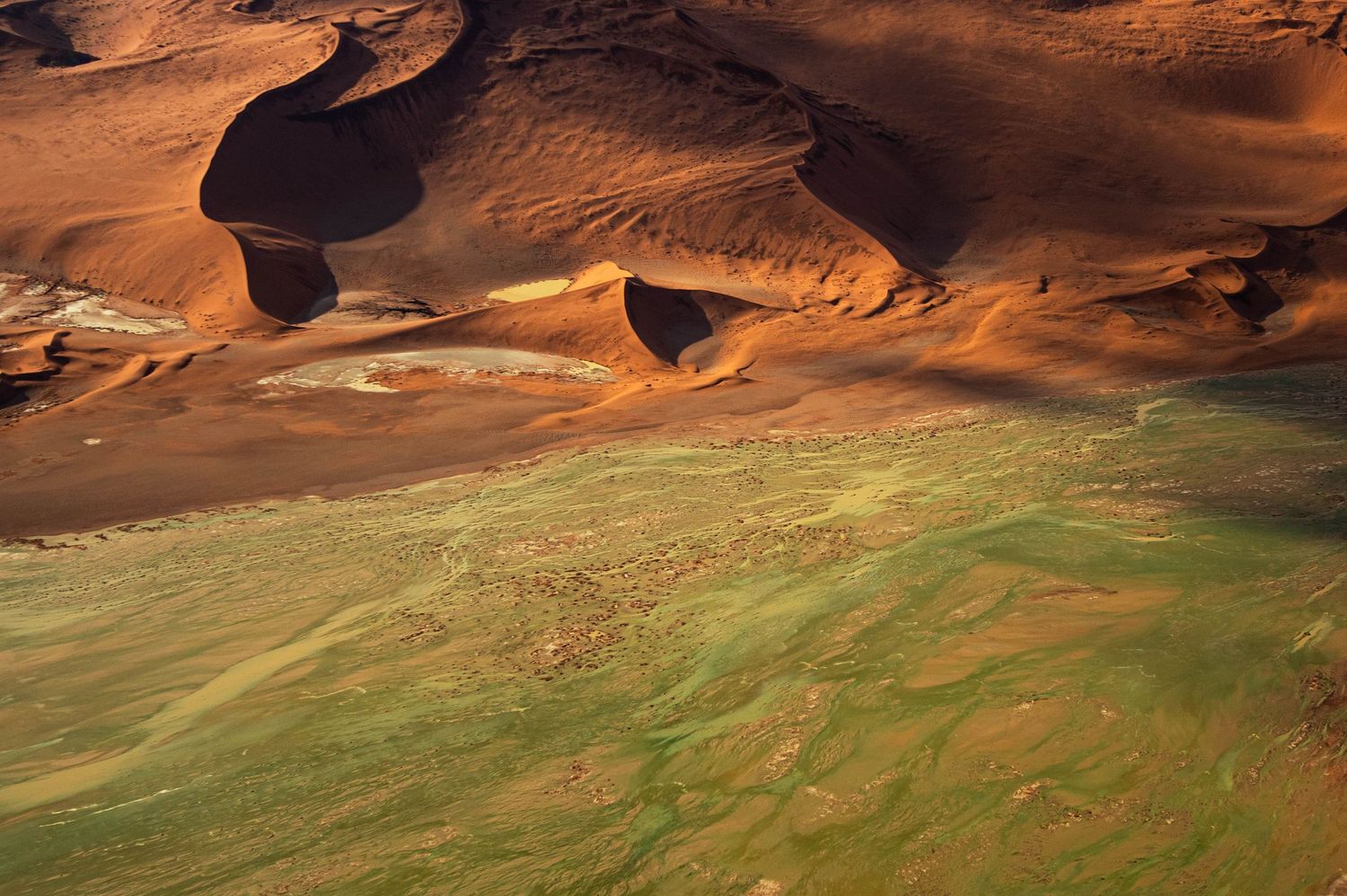 Aerial view of red sand dunes meeting green vegetation in Sossusvlei, Namibia.