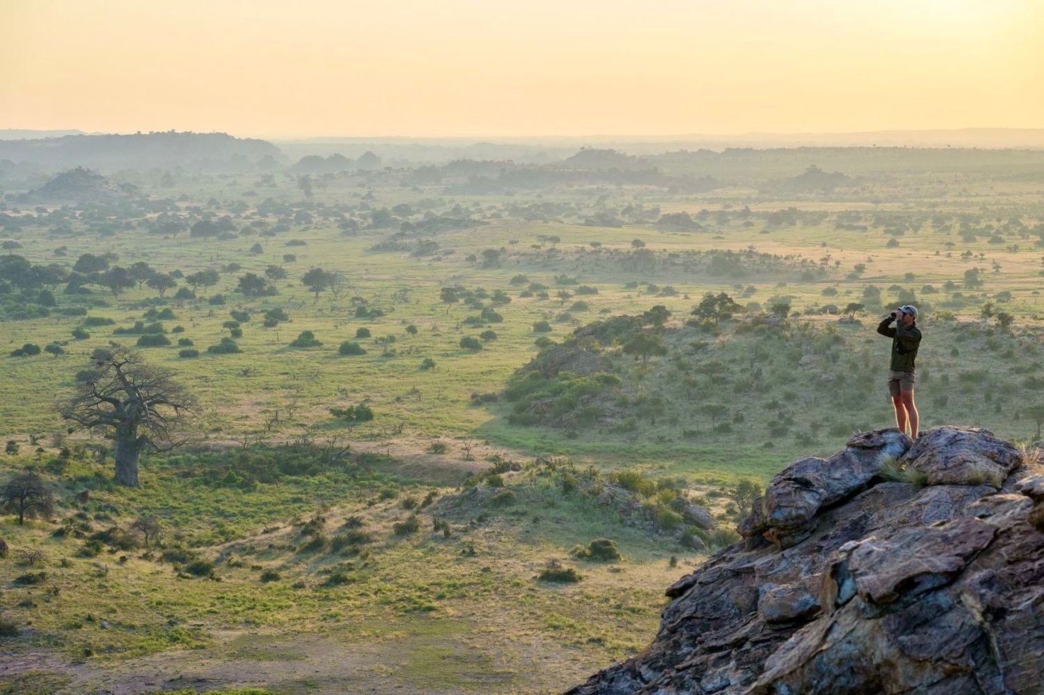 Person standing on rocky outcrop overlooking vast African savanna at golden sunrise.