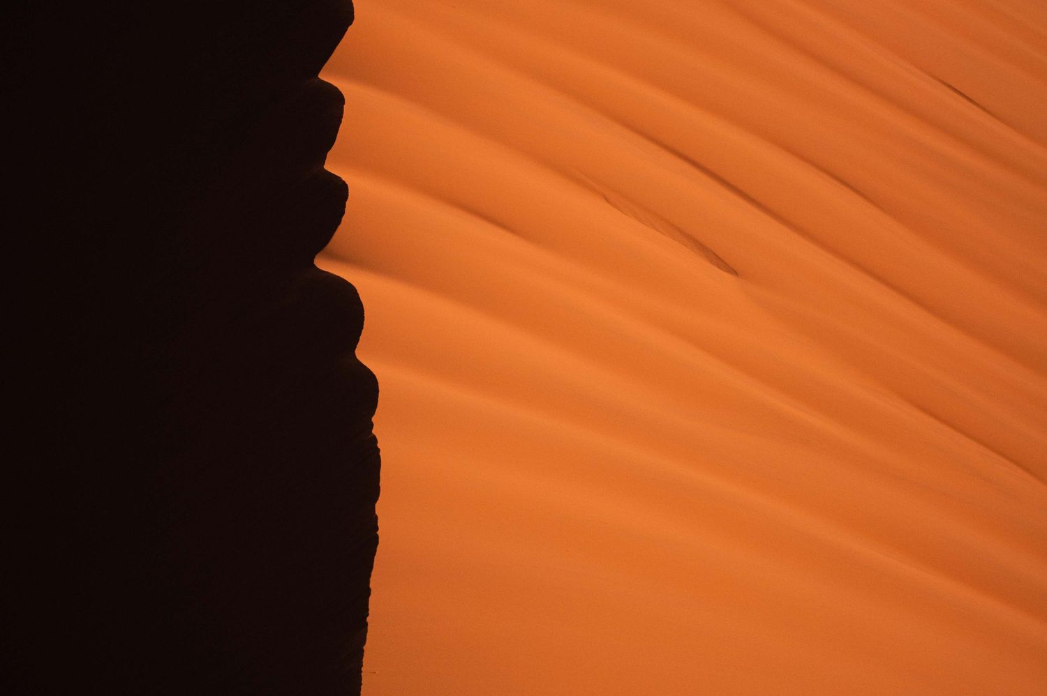 Abstract close-up of a sharp sand dune ridge creating a dramatic contrast between light and shadow.
