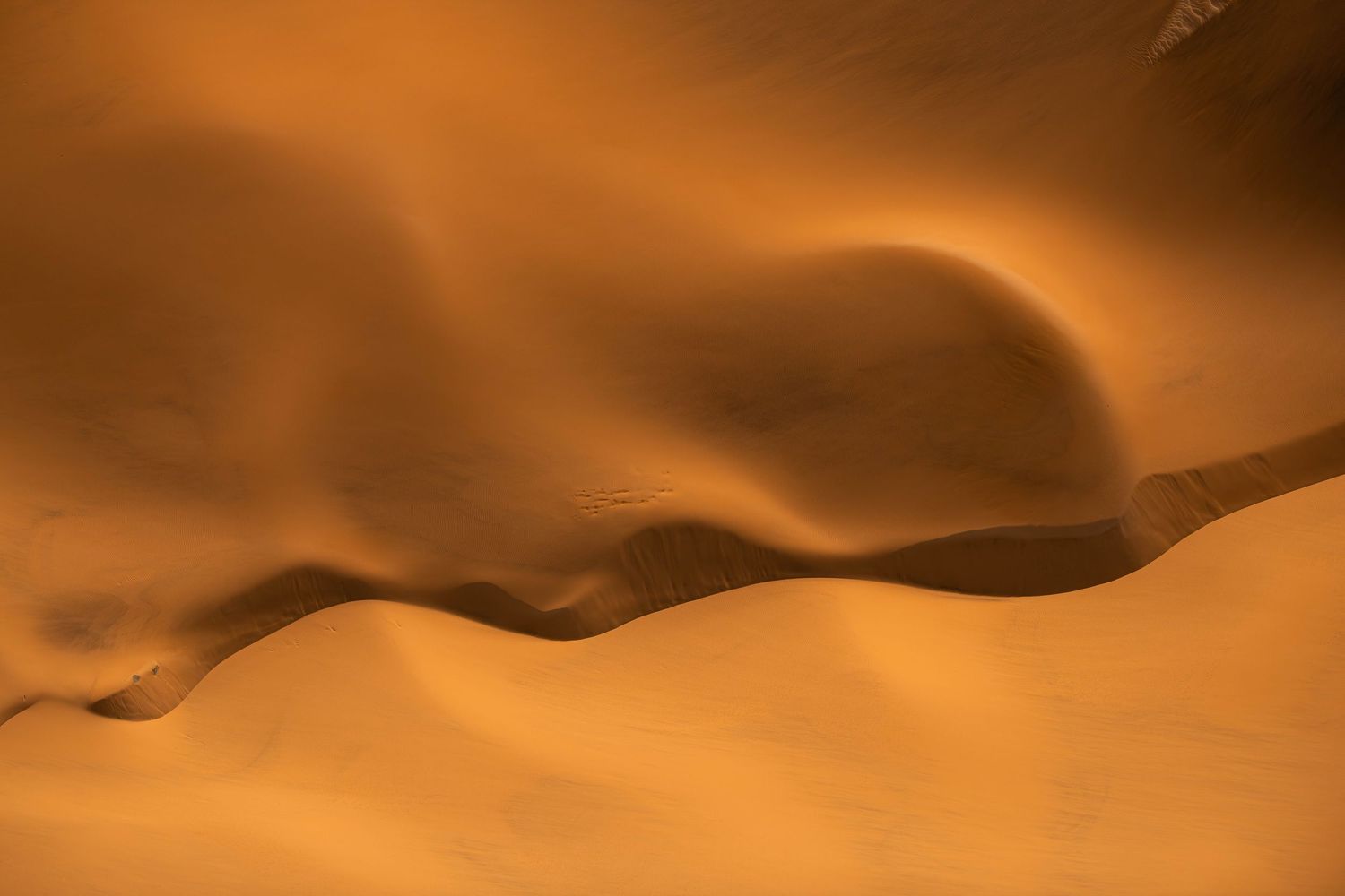 Abstract aerial view of smooth golden sand dune ridges and curves in the Namib Desert.