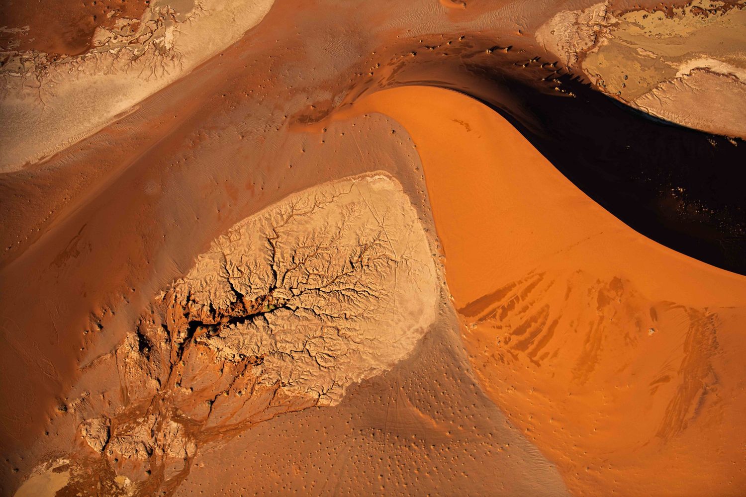 Aerial view of vivid orange sand dunes with dry riverbed branching patterns in Namibia.