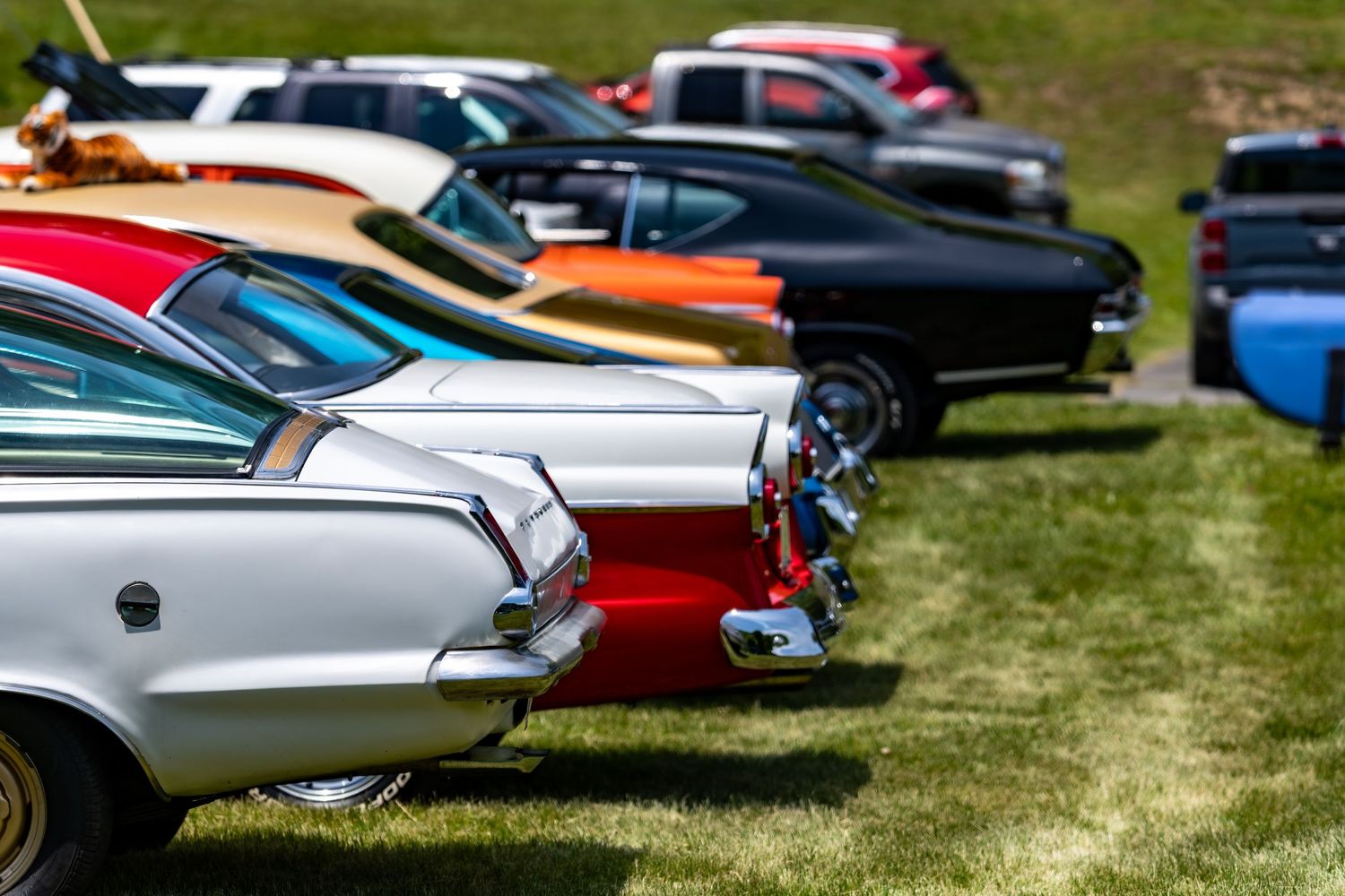 Row of colorful vintage classic cars parked on green grass at an outdoor car show event.