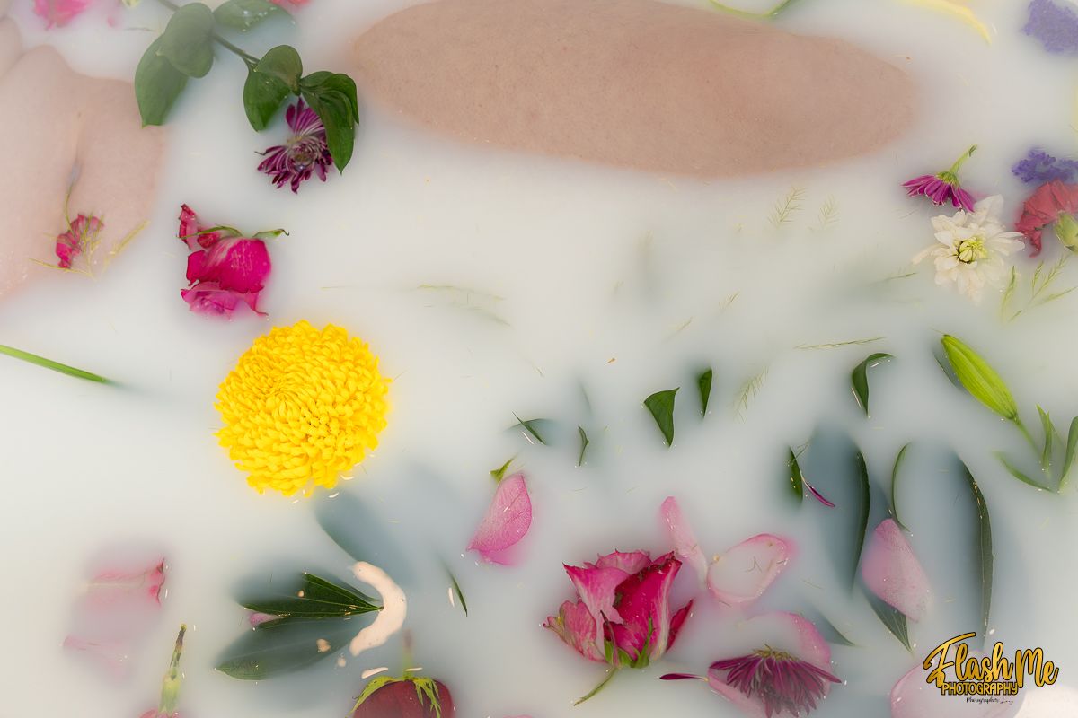 Overhead view of pink roses, yellow flower, and green leaves floating in a white milk bath.