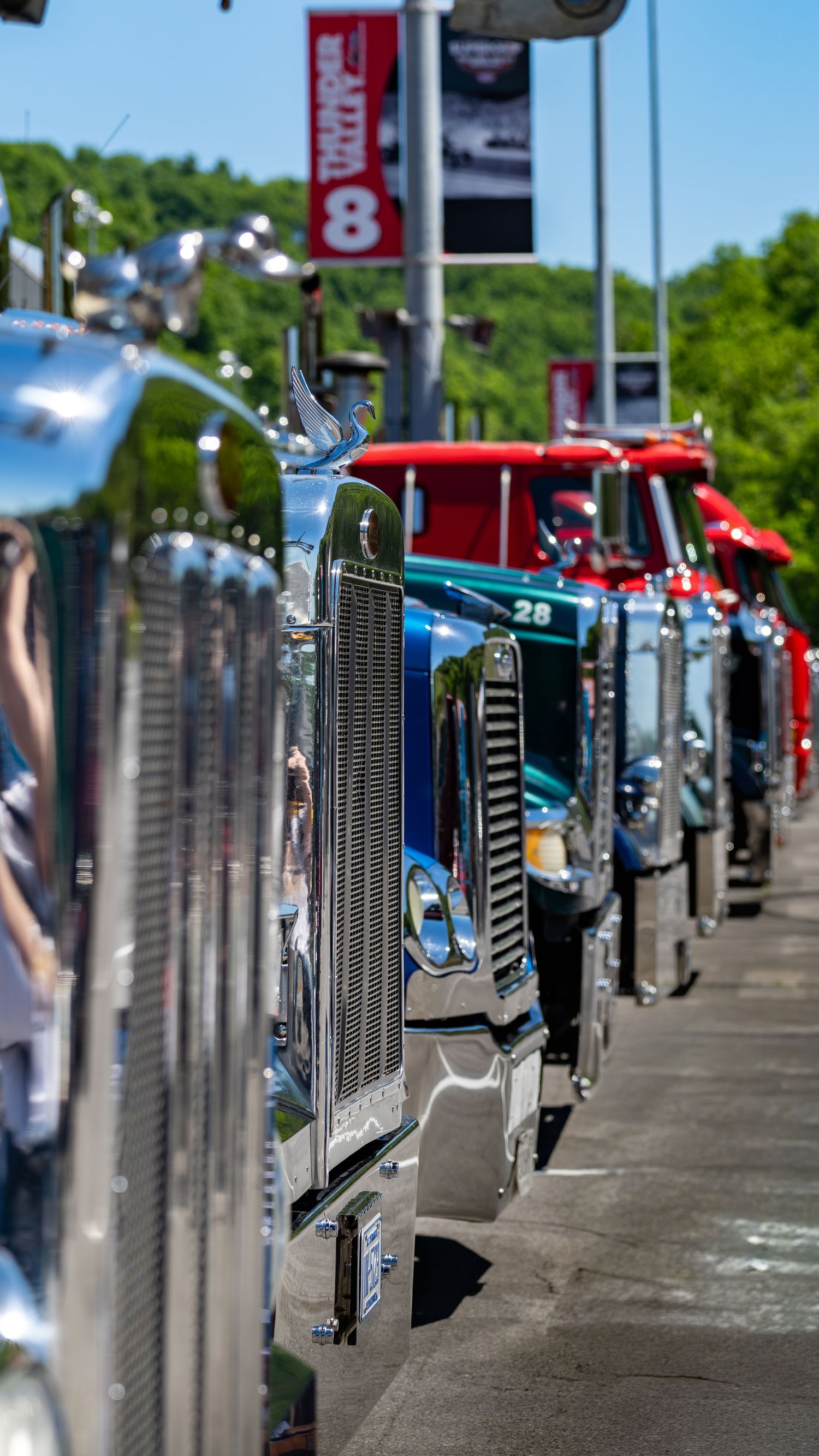 A row of polished vintage semi-trucks with chrome grilles lined up at an outdoor truck show on a sunny day.