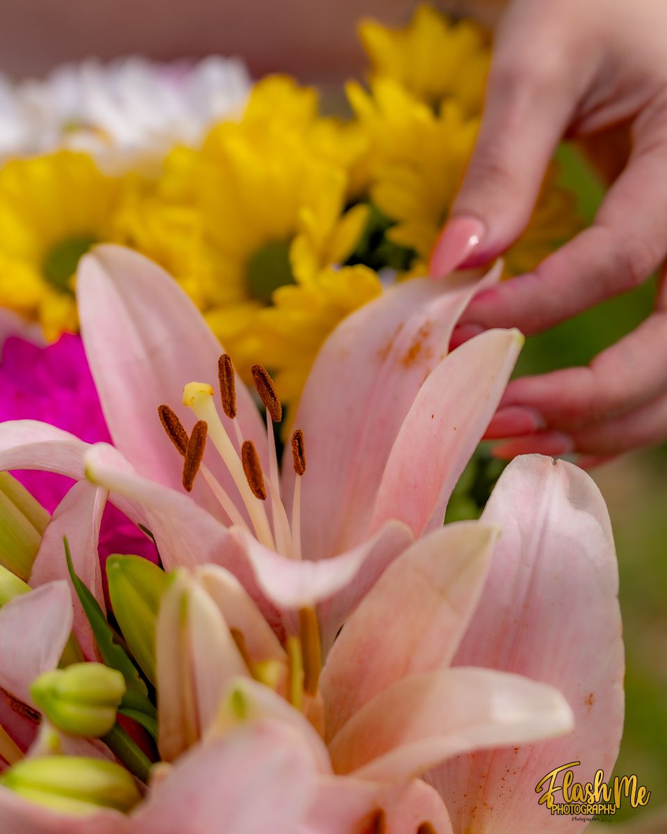 Close-up of pink lily flowers with yellow daisies and magenta blooms in a colorful bouquet with a hand touching petals.
