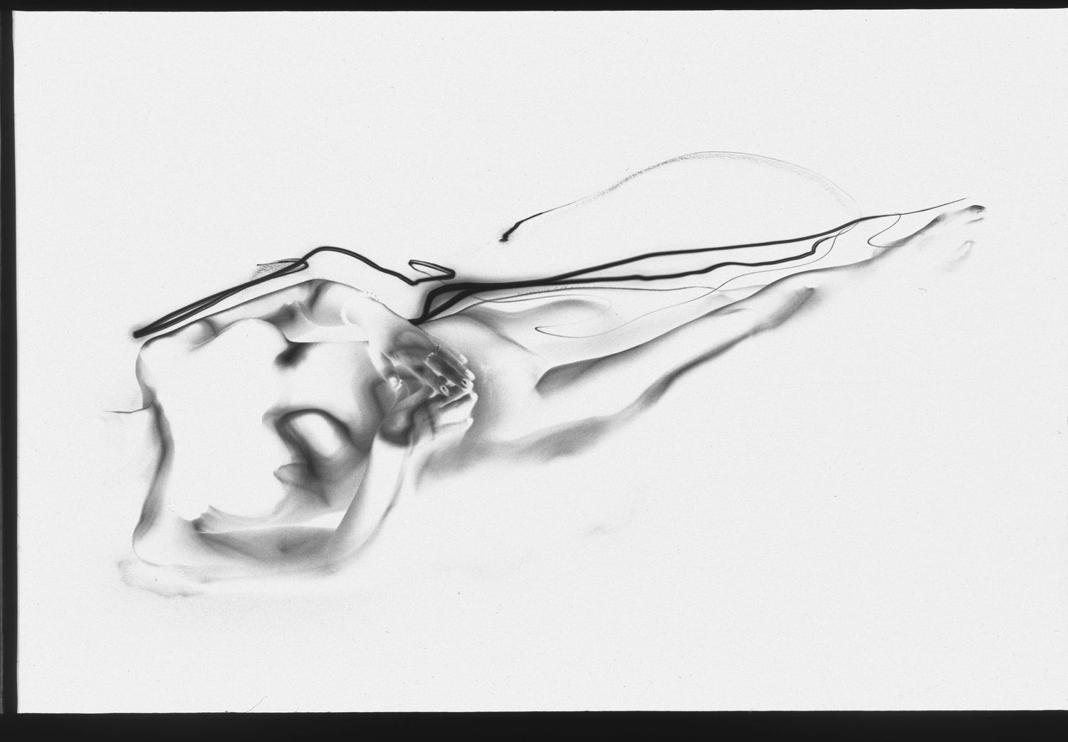 Print Negative