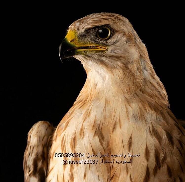 Professional product photography in Saudi Arabia.