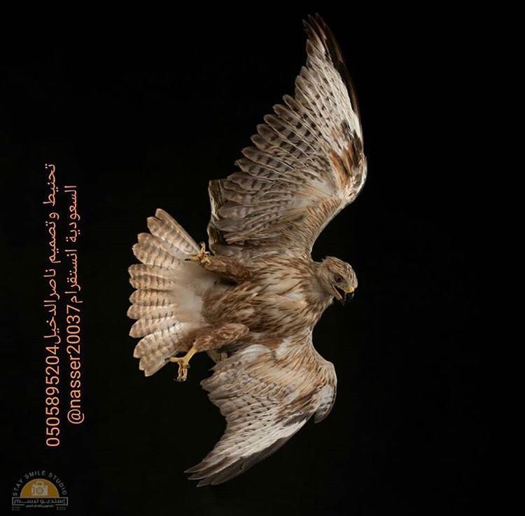 Professional product photography in Saudi Arabia.