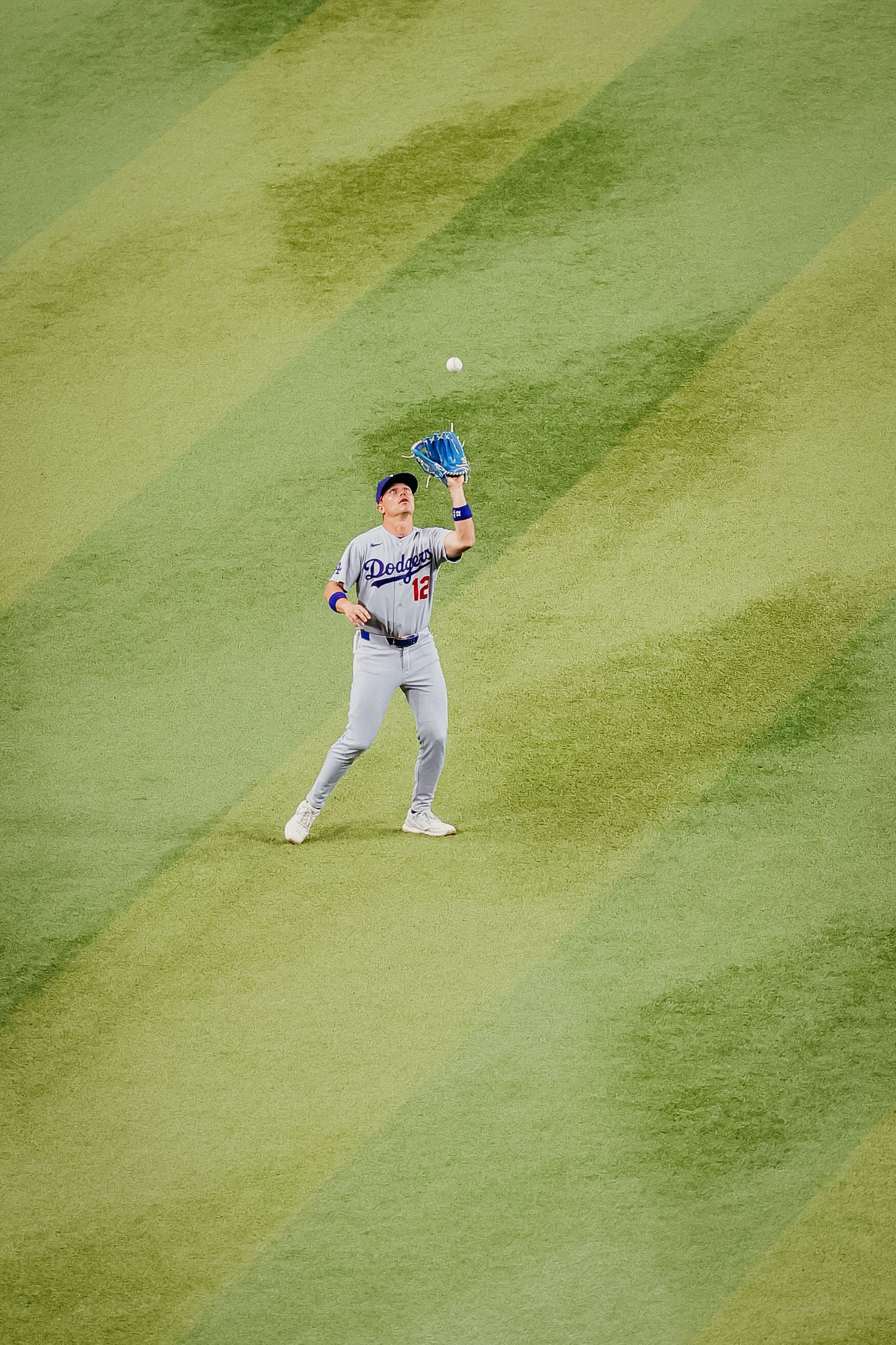 Dodgers outfielder #12 catches fly ball on green striped outfield grass during MLB game.