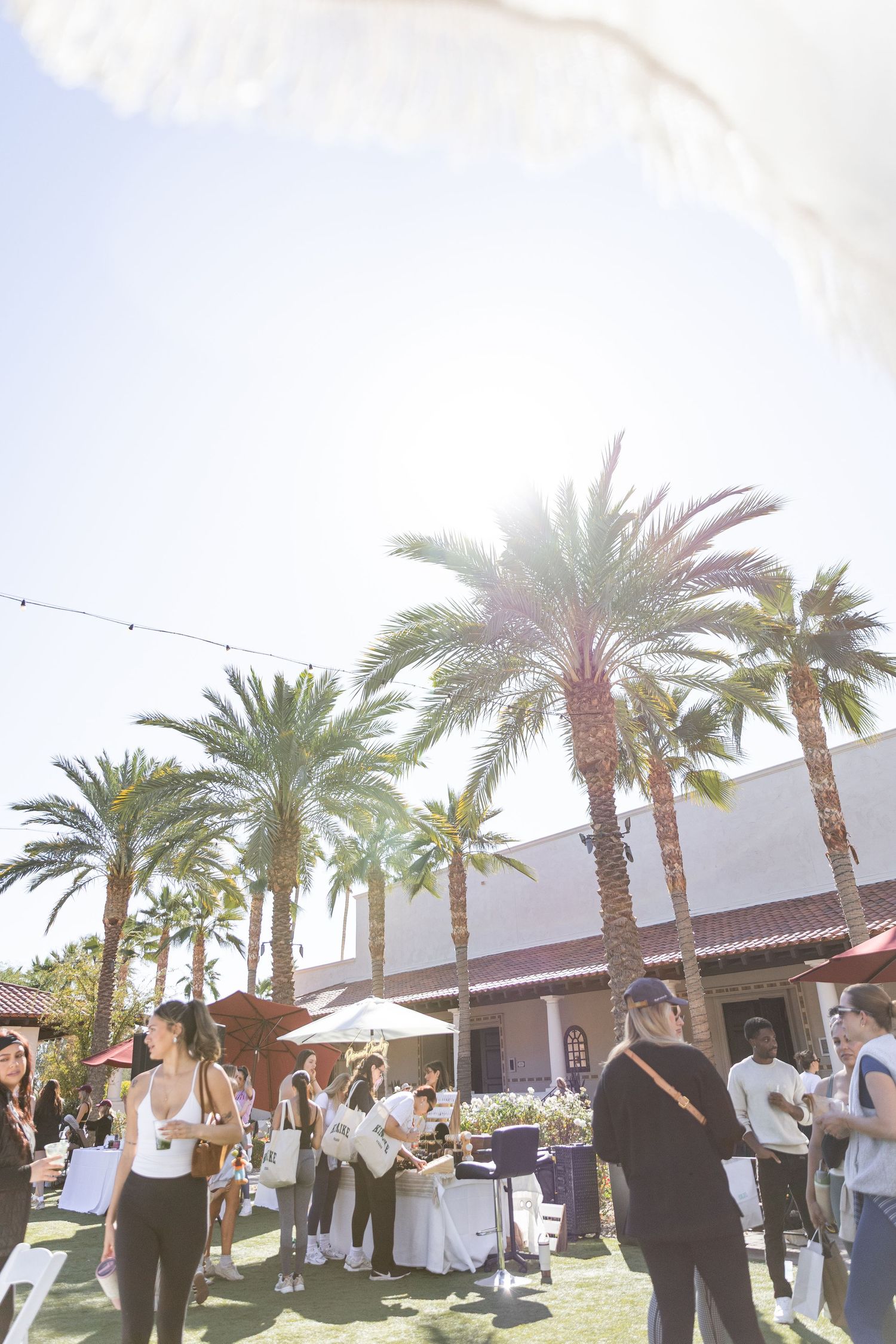 Guests mingling on a sunny outdoor lawn surrounded by tall palm trees at a daytime event.