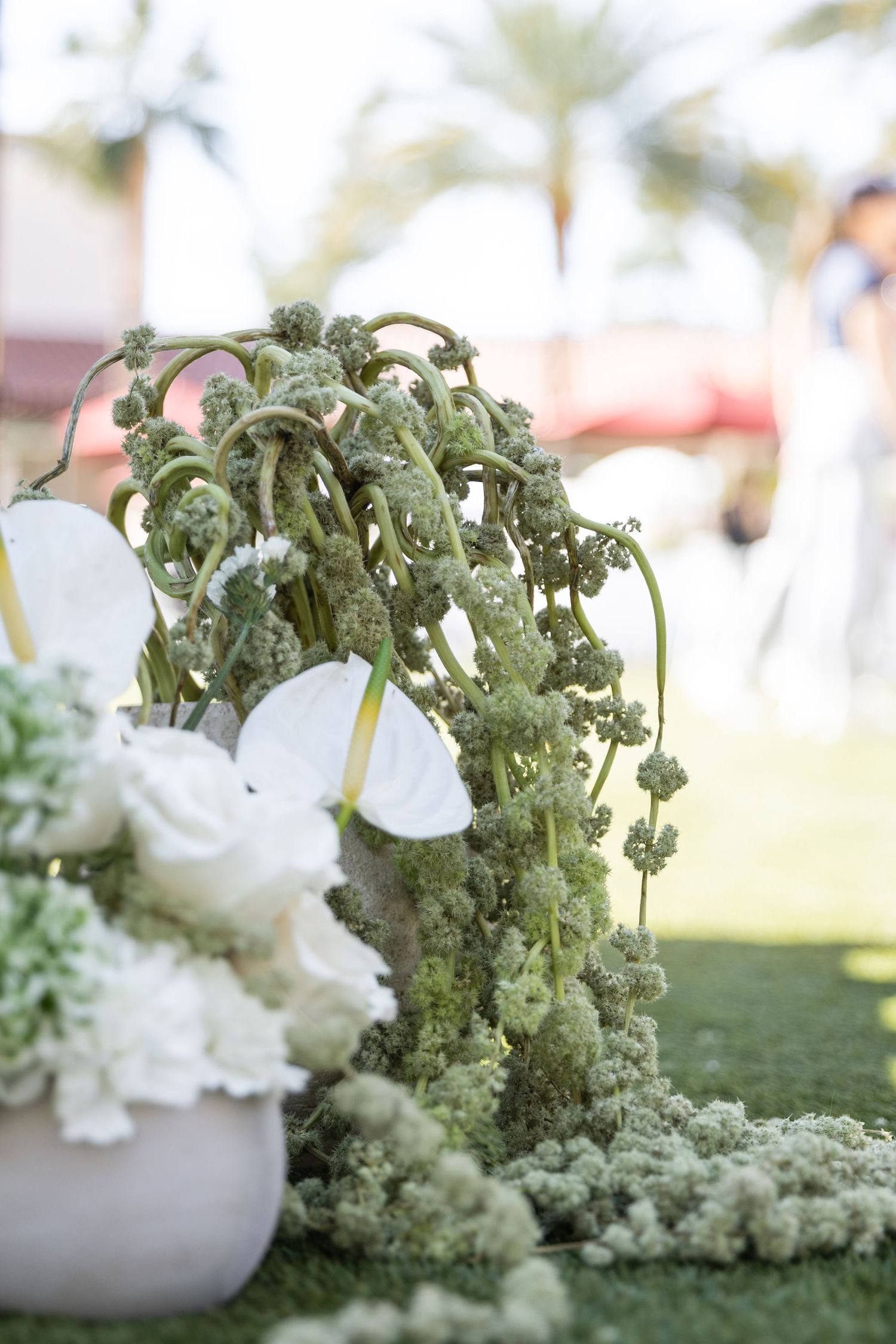 An elegant floral arrangement featuring cascading green succulents and white flowers displayed on a grass lawn.