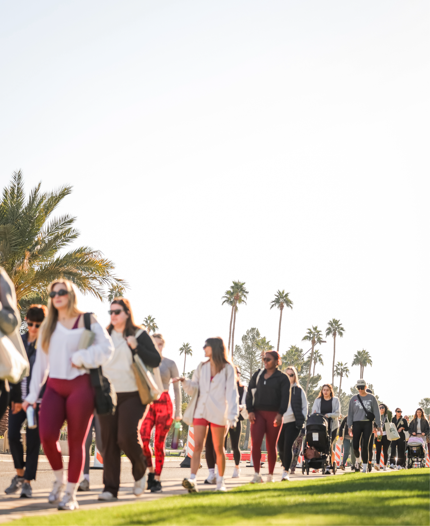Large group of students walking outdoors on a sunny campus lined with tall palm trees.
