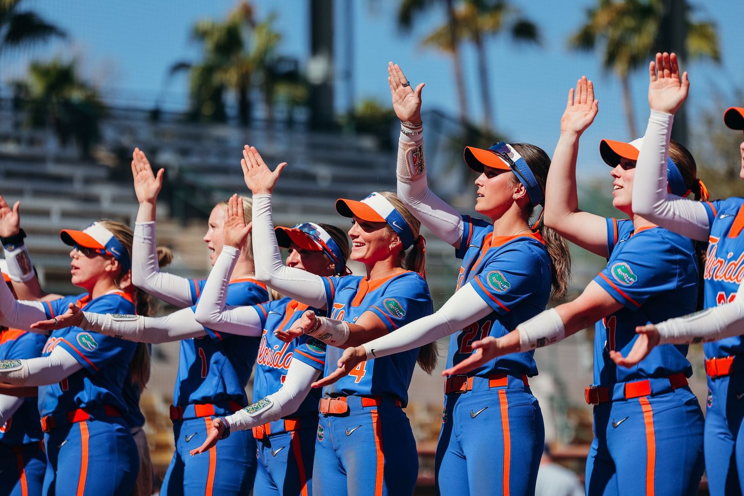 Florida Gators softball team raises hands in unison during pre-game warmup in blue and orange uniforms.