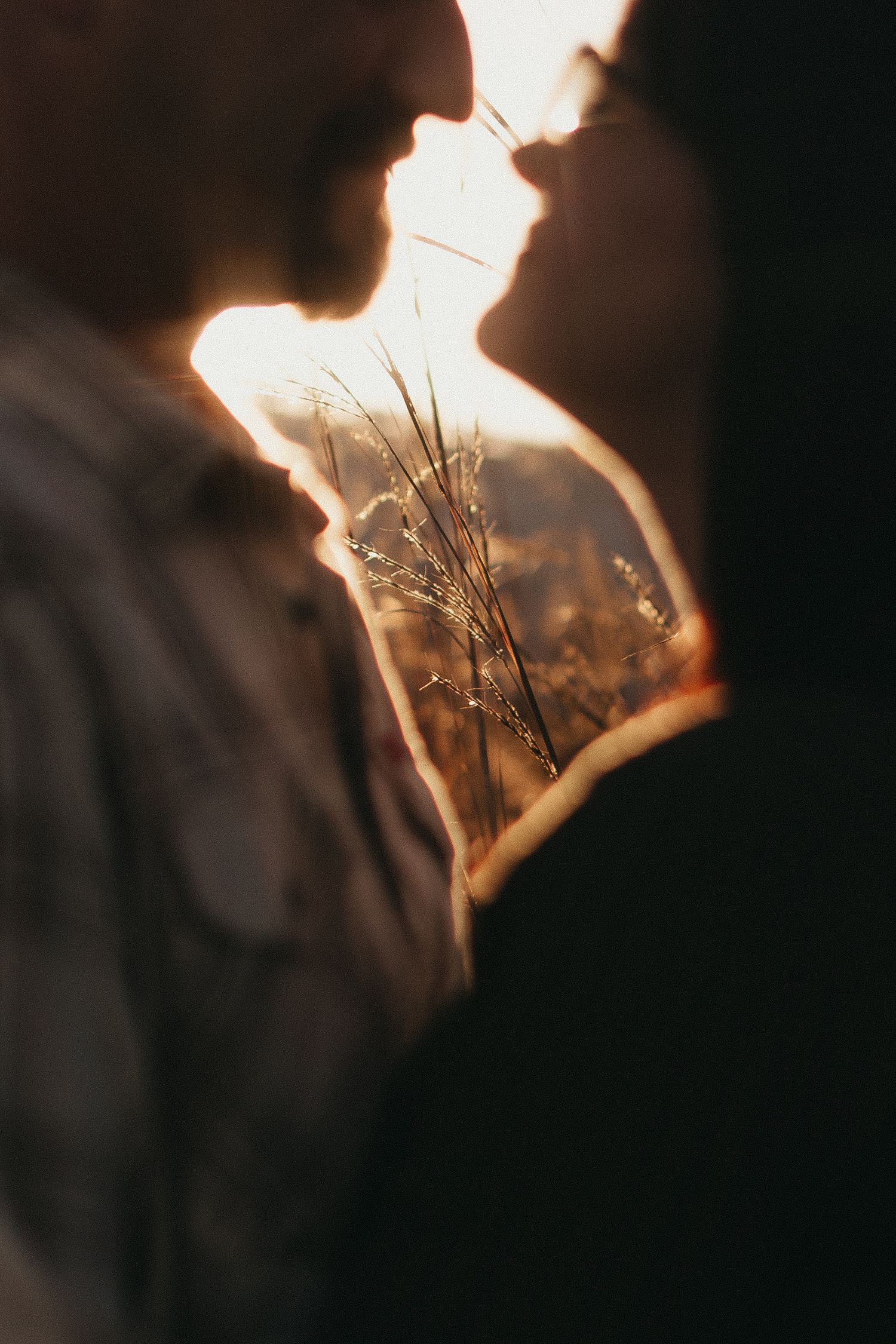 Romantic couple almost kissing at golden sunset with wild grass bokeh in warm backlit outdoor portrait.