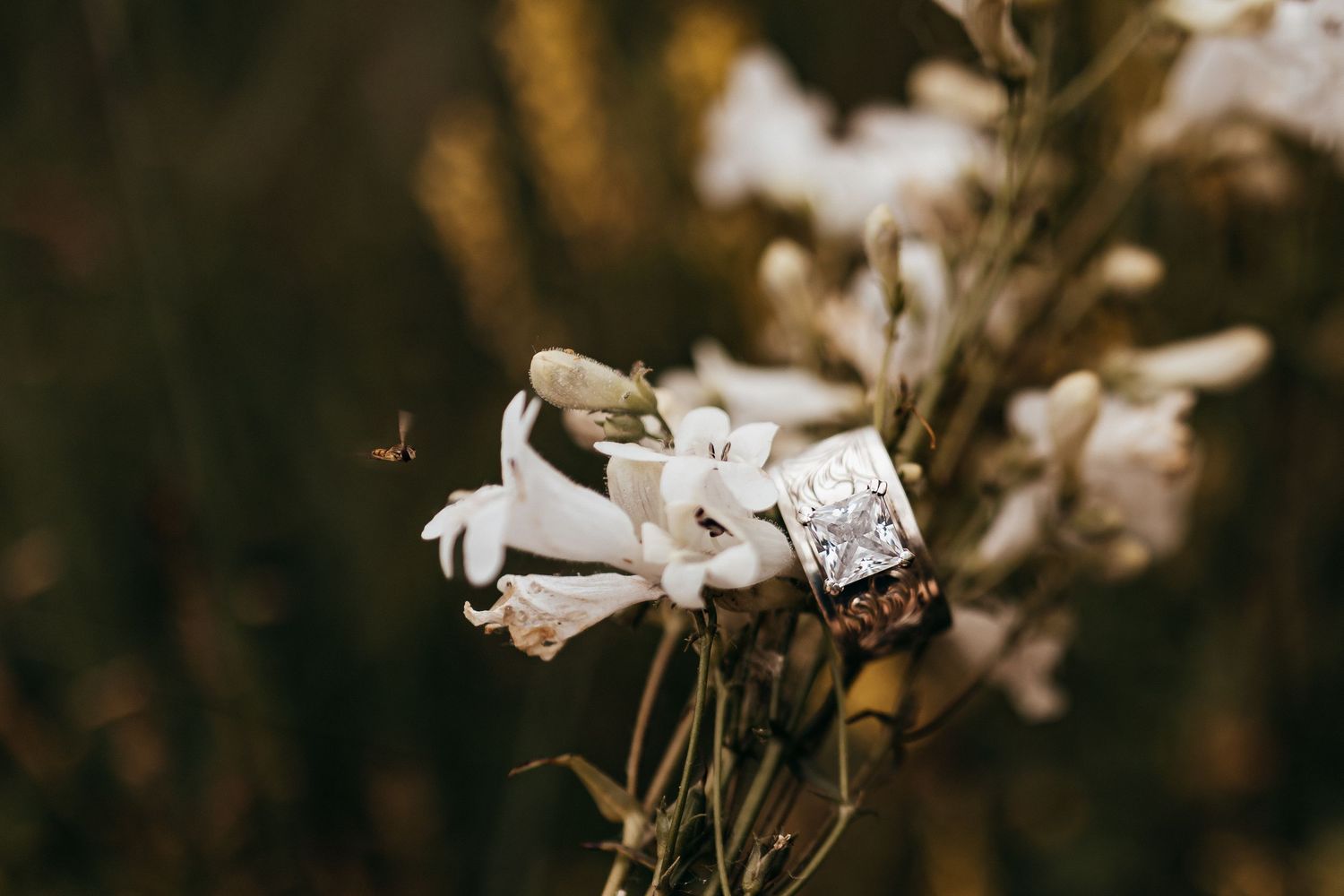 Wedding rings resting on white wildflowers with a small bee nearby in soft bokeh light.