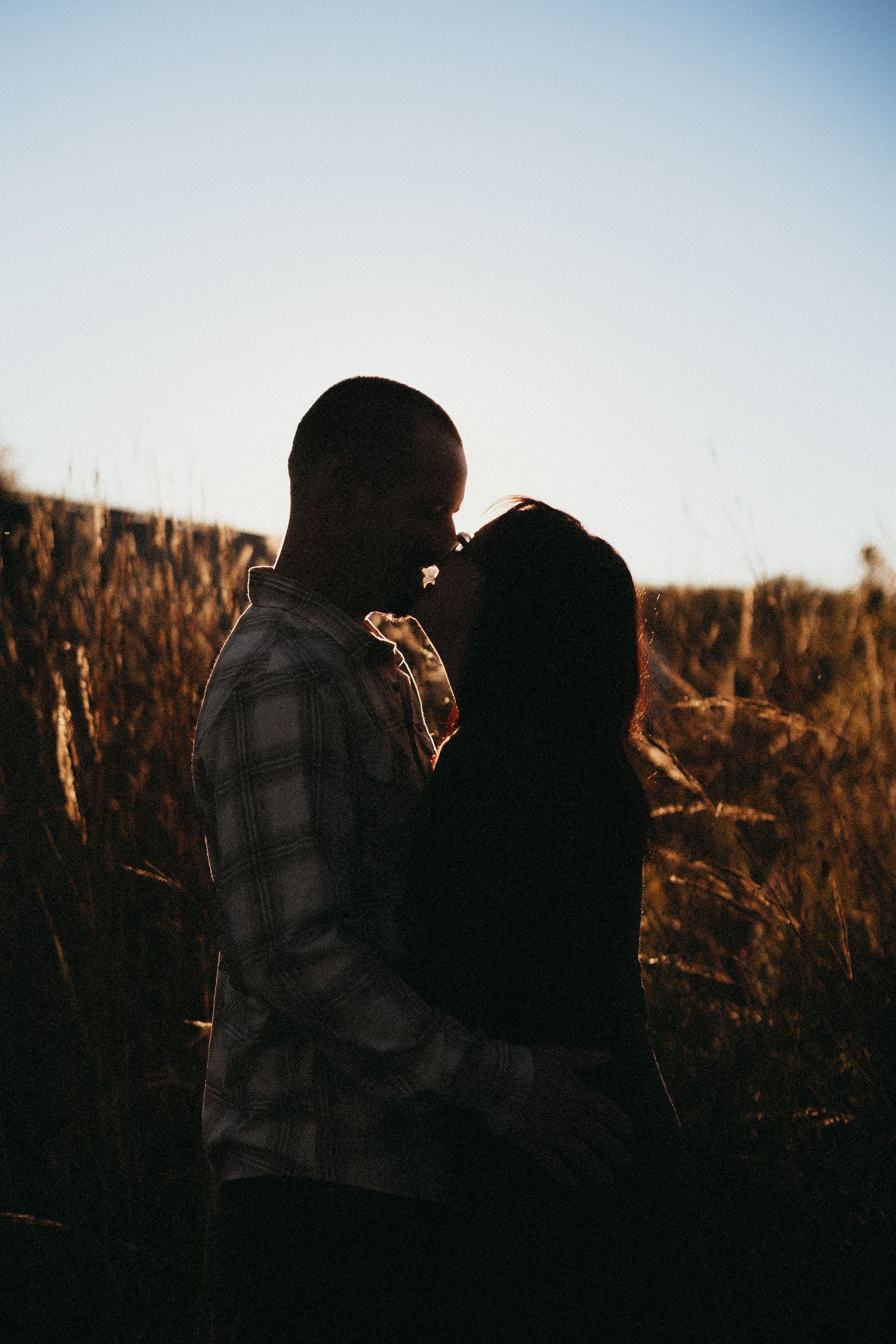 Silhouette of a romantic couple kissing in a golden field at sunset, backlit by a clear sky.