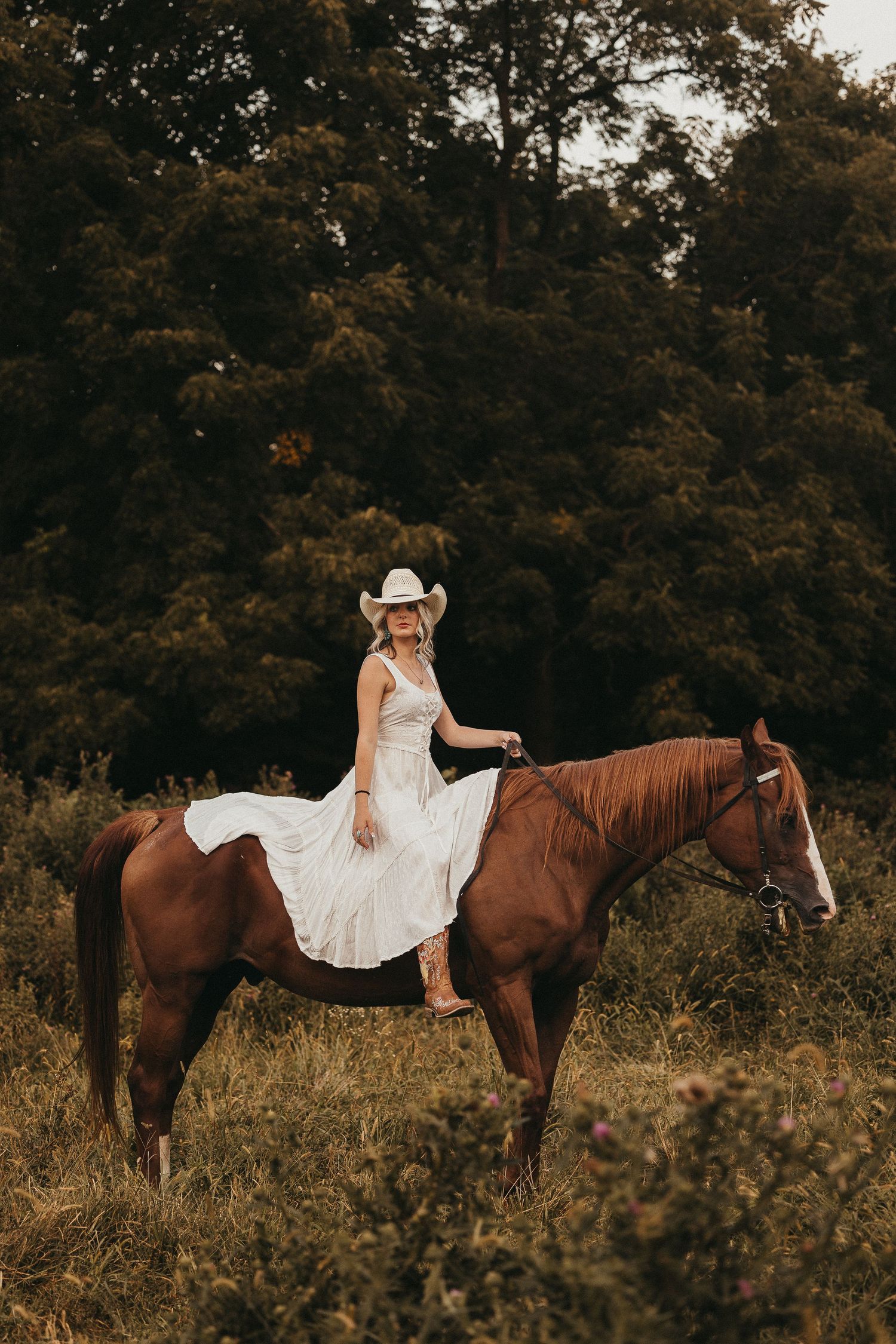 Bride in white dress and cowboy hat riding a chestnut horse in a lush forest setting.