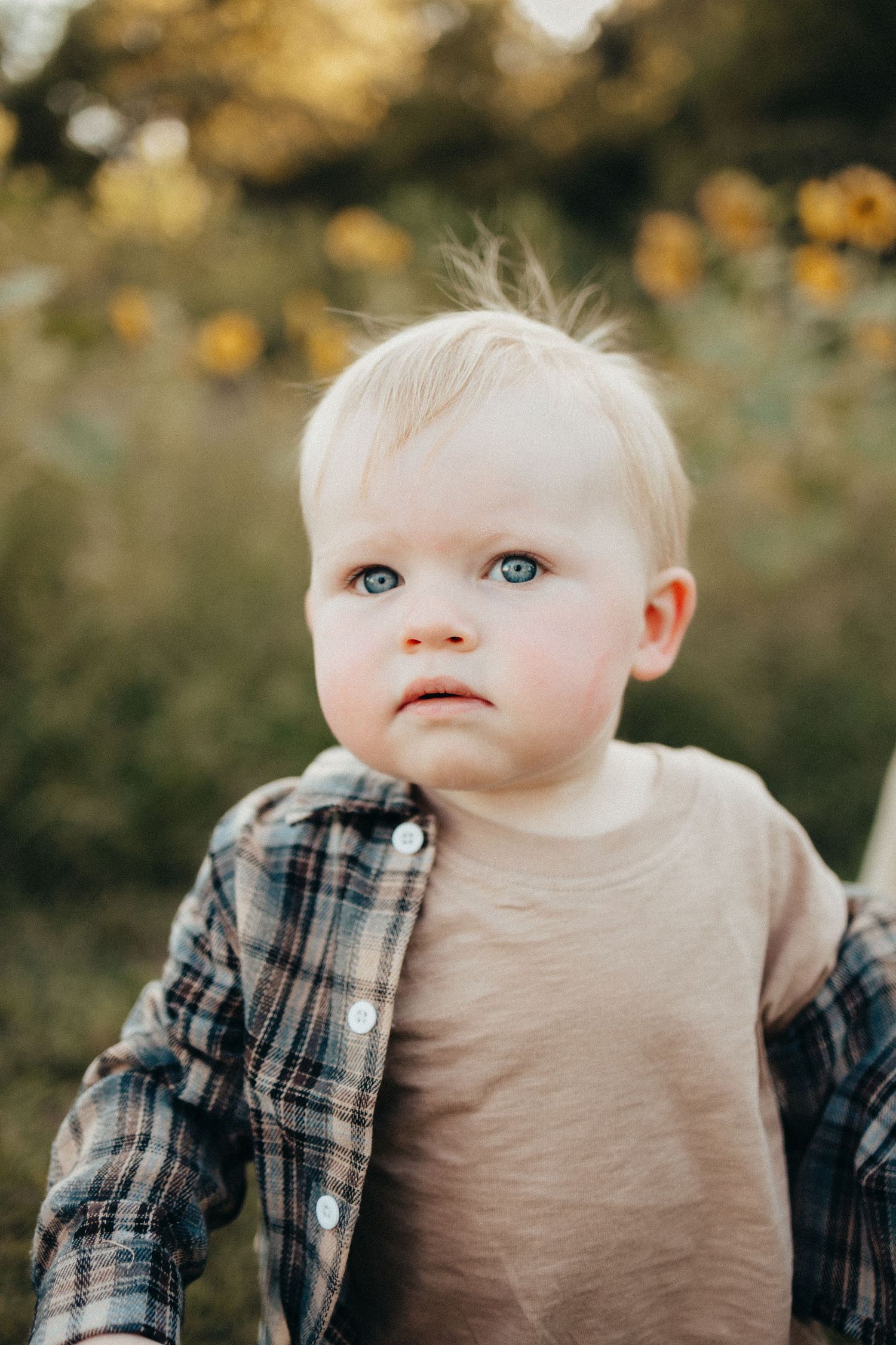 Adorable blonde toddler with blue eyes wearing a plaid shirt in a sunlit field.