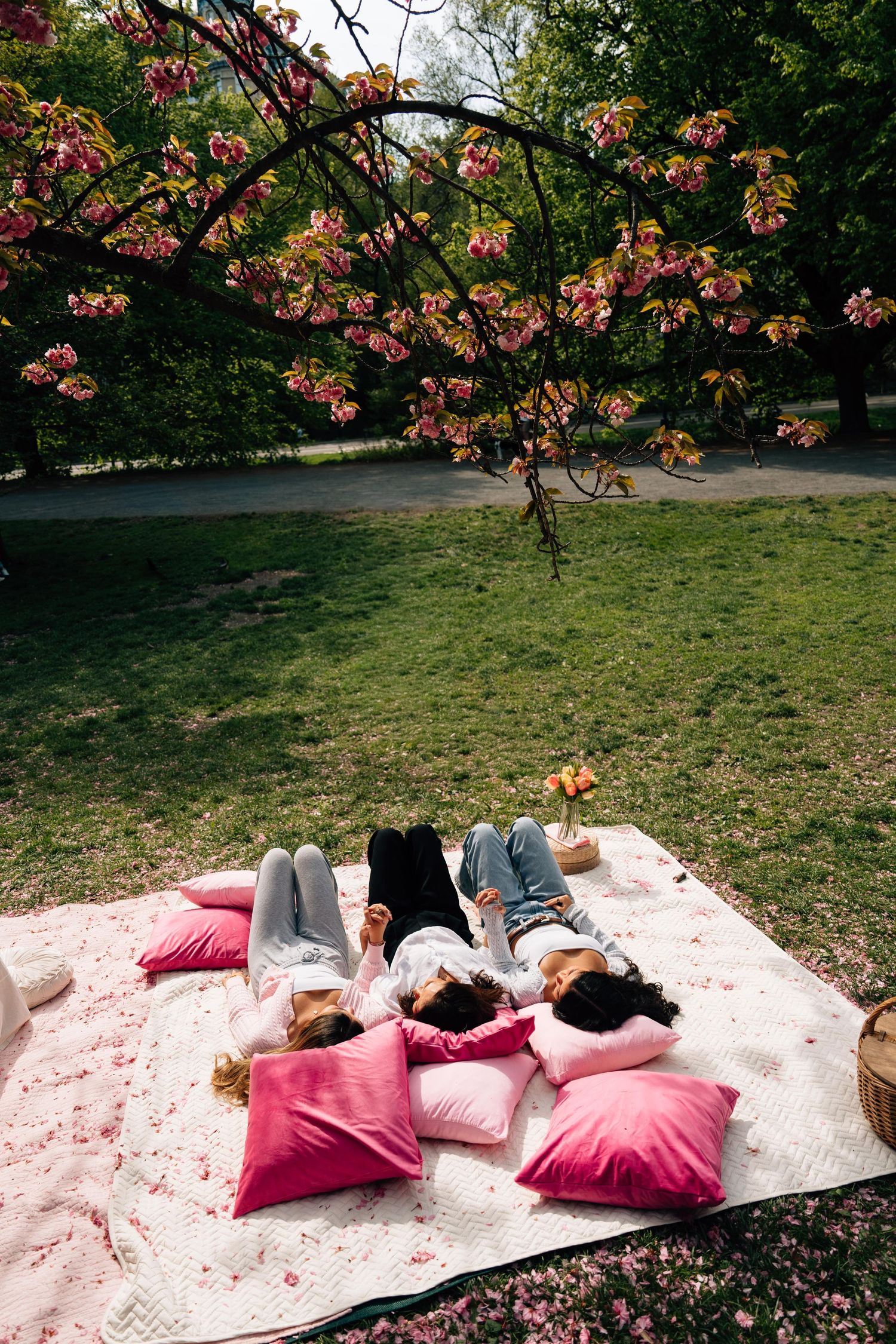 Three friends lying on a blanket with pink pillows under blooming cherry blossom tree in a green park.
