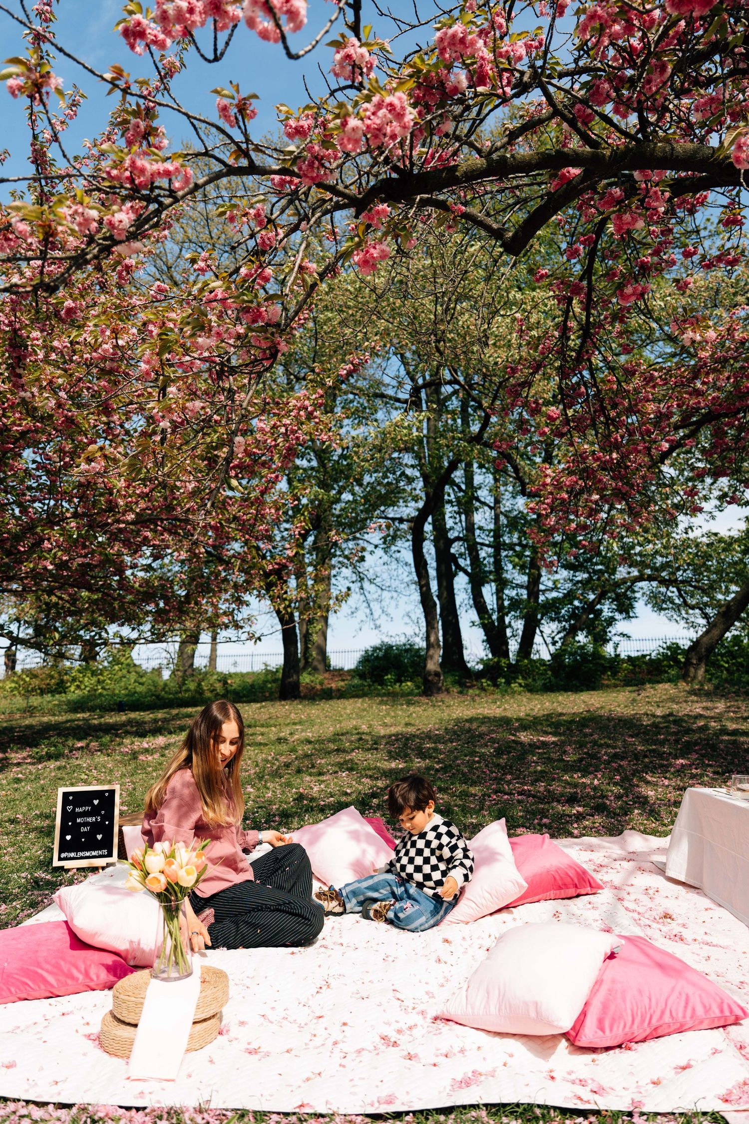 Two people enjoying a spring picnic under blooming cherry blossom trees on a pink blanket with pillows.