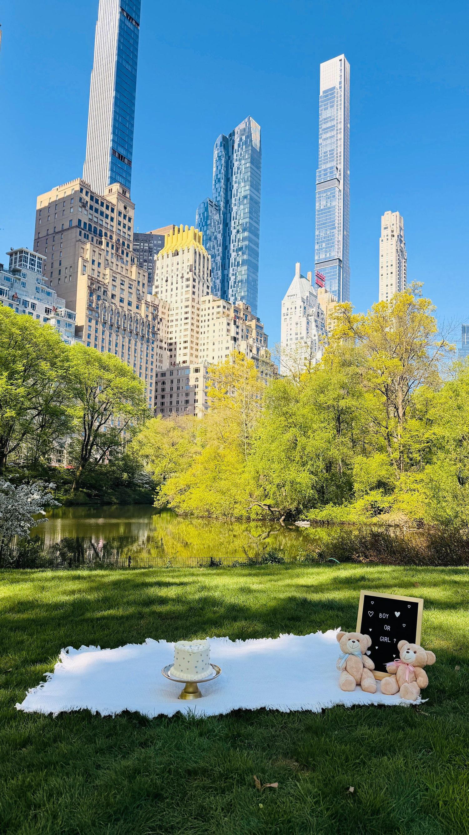 A romantic picnic setup with cake and teddy bears on white blanket in Central Park with NYC skyline backdrop.