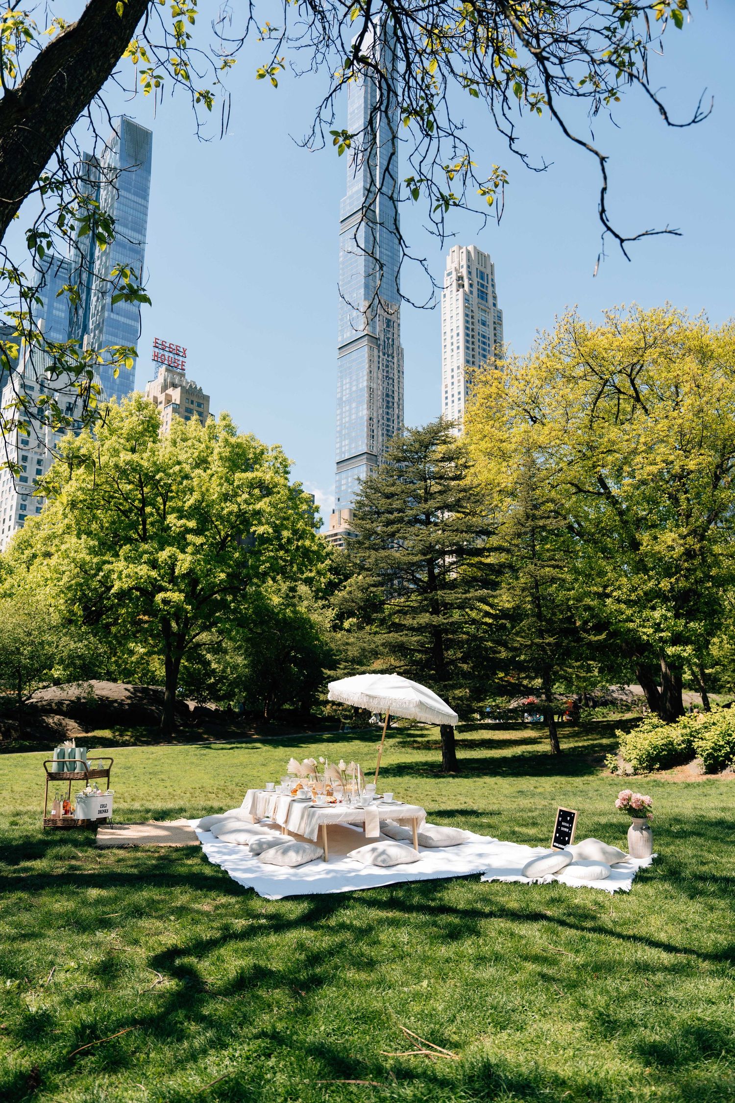Elegant picnic setup on white blanket in Central Park with NYC skyscrapers visible through lush green trees on a sunny day.