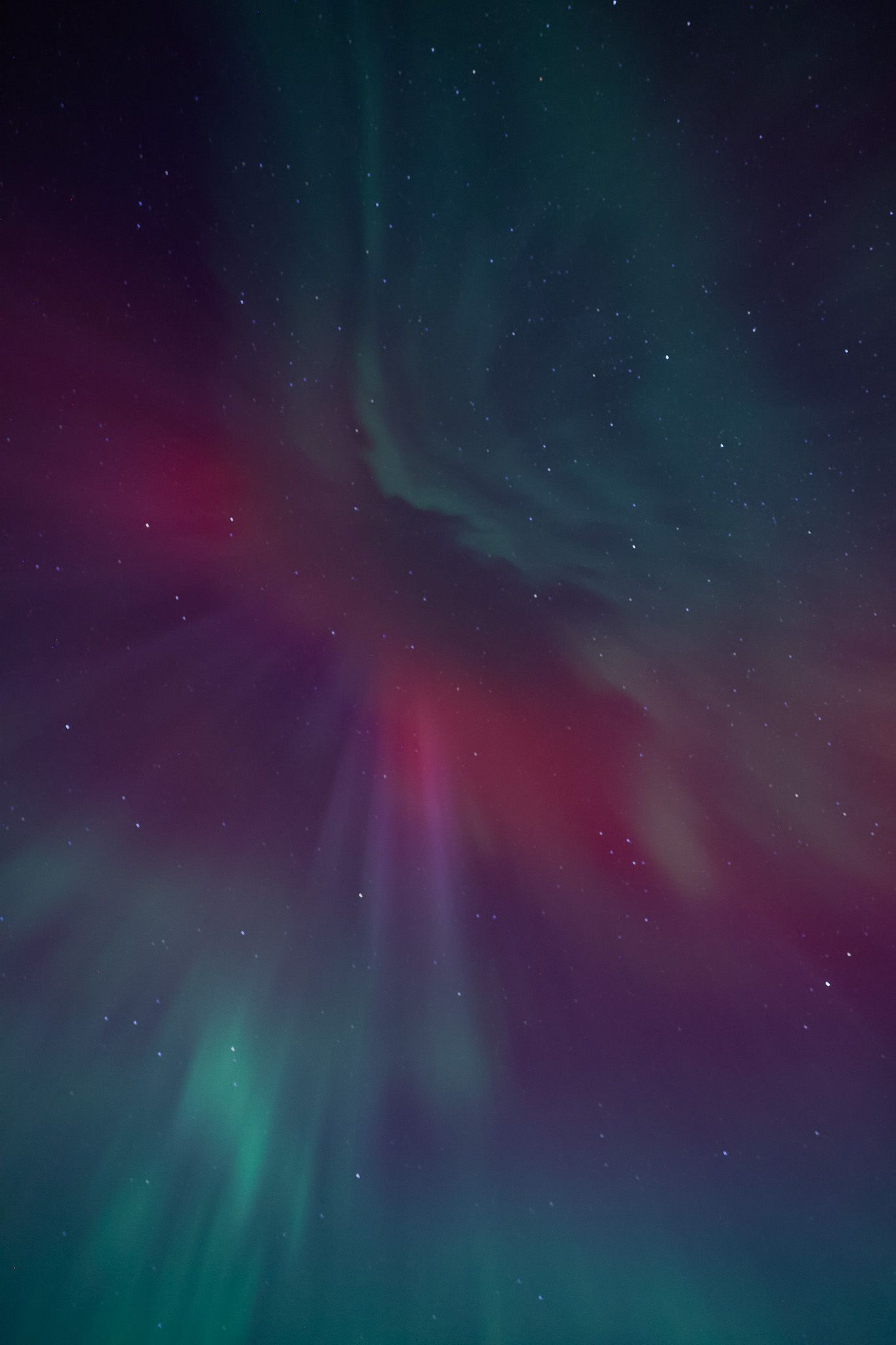 Mesmerizing northern lights display vertical streams of green and pink against the dark sky.