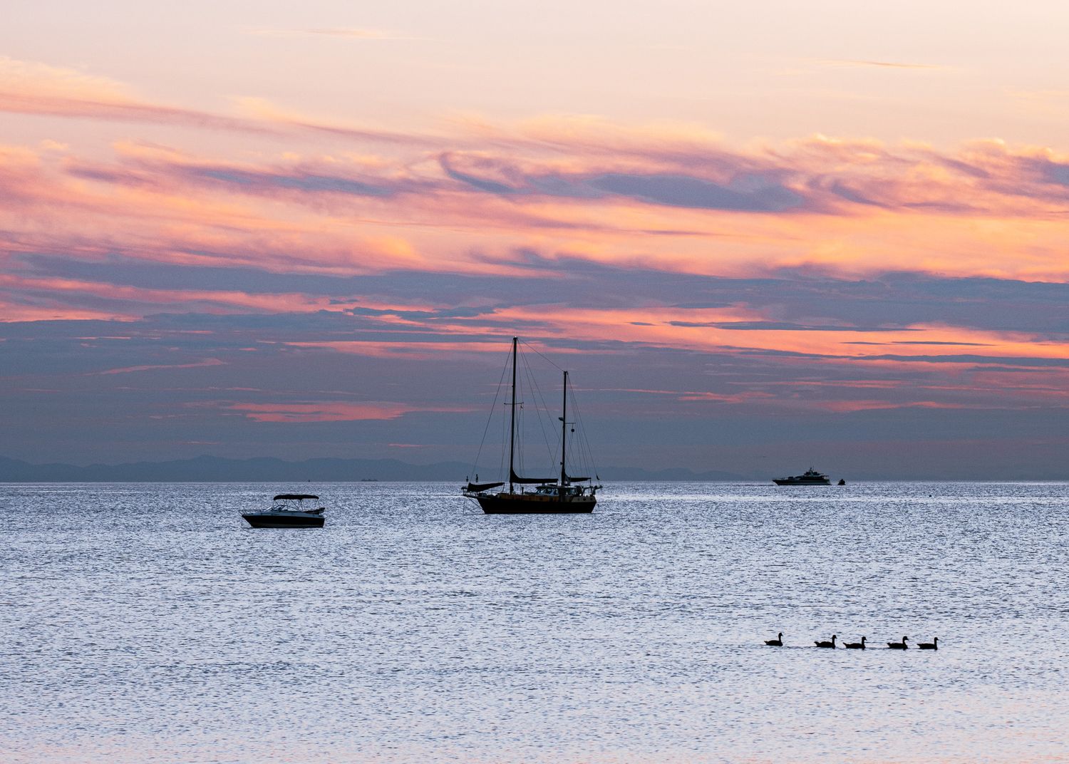 Silhouettes of boats and waterfowl against a dramatic pink and purple sunset over calm ocean waters.