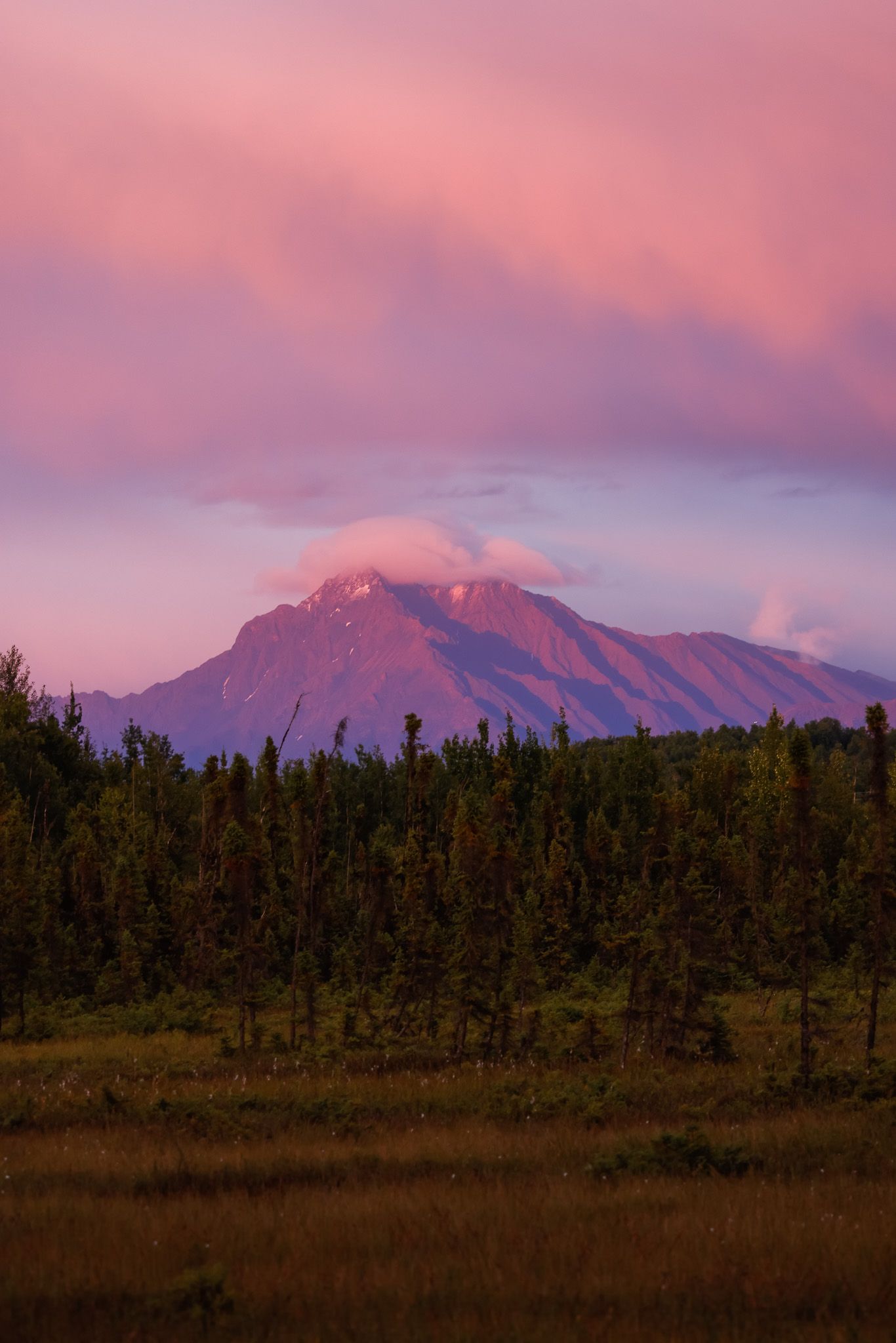 Snow-capped mountain peak glowing pink during sunset over a forested landscape.