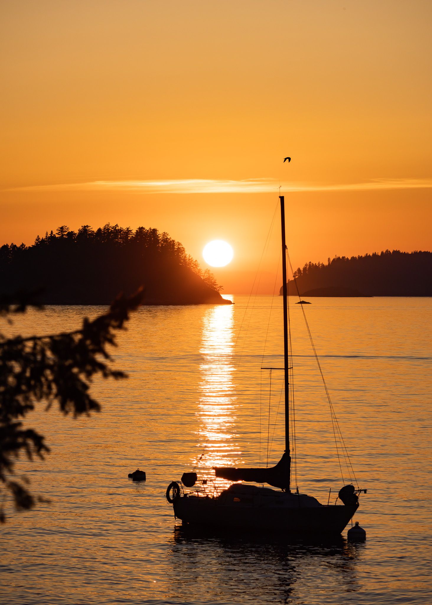 Silhouette of a sailboat anchored at sunset with golden waters and forest backdrop.