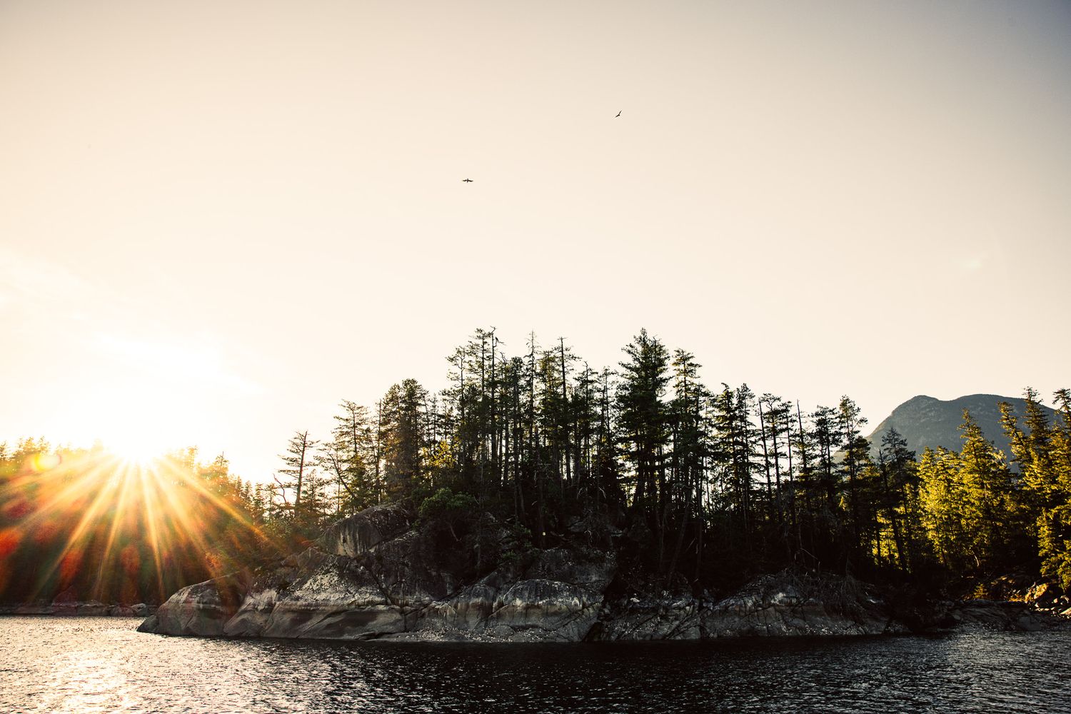 Sun rays shine through pine trees on a rocky island silhouetted against the water during golden hour.