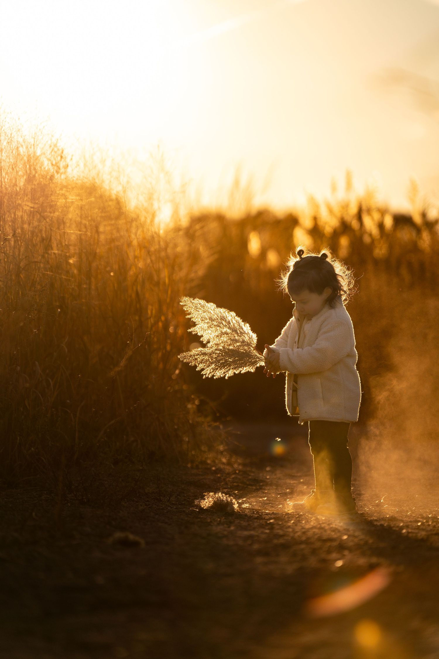 A silhouetted figure holds dried pampas grass in golden sunset light.