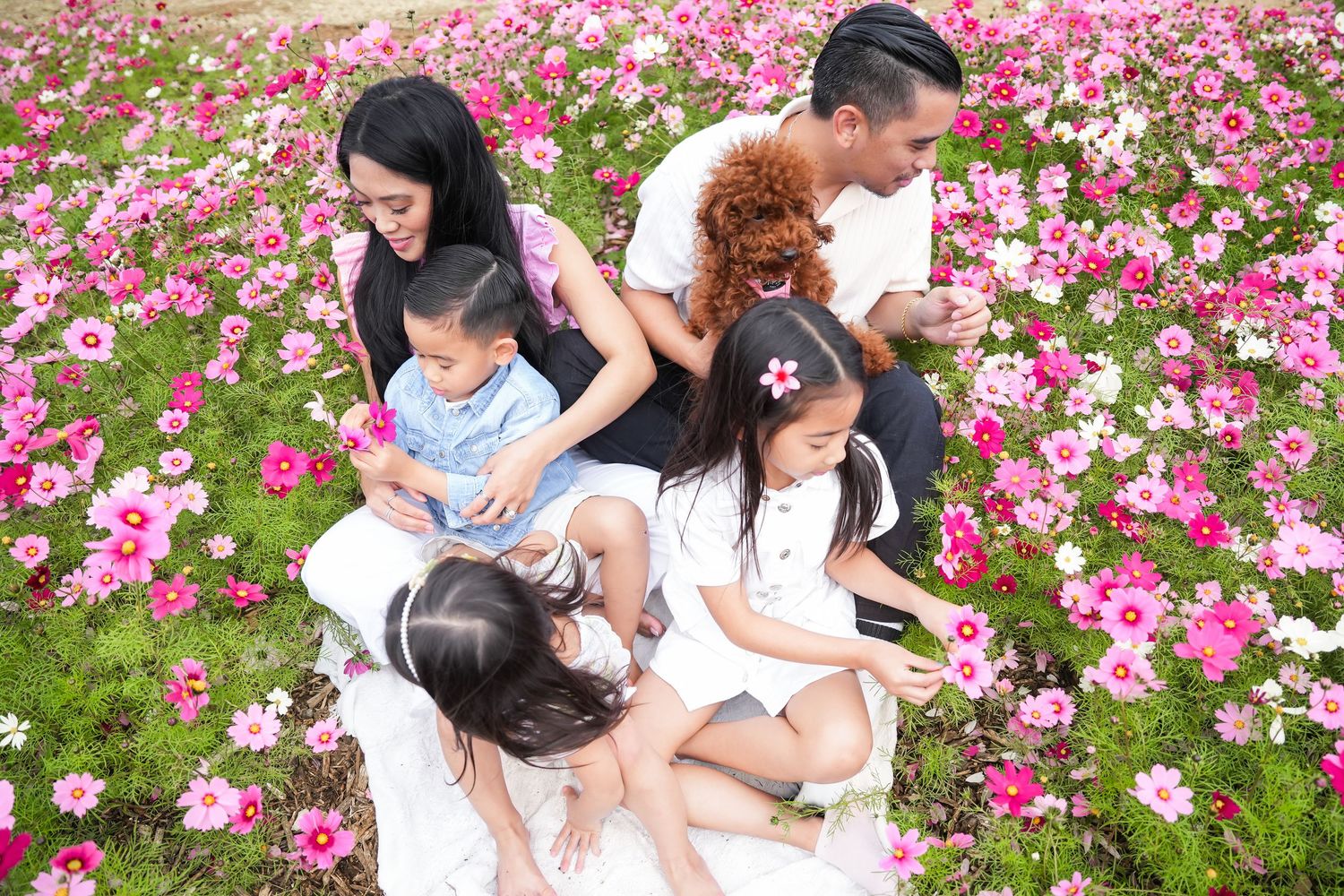 Family session