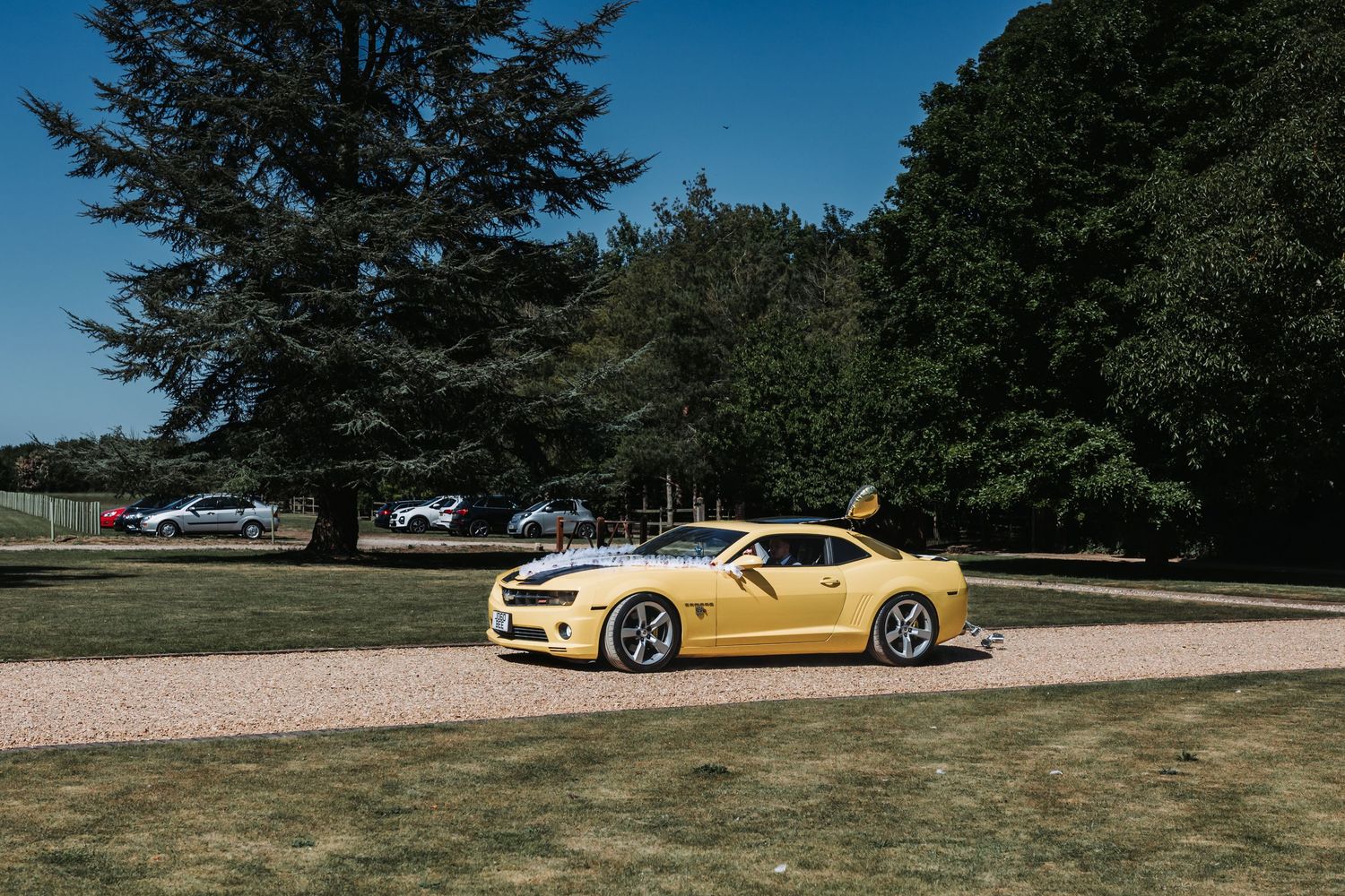 A bright yellow classic car sits parked on grass against a backdrop of evergreen trees under blue skies.