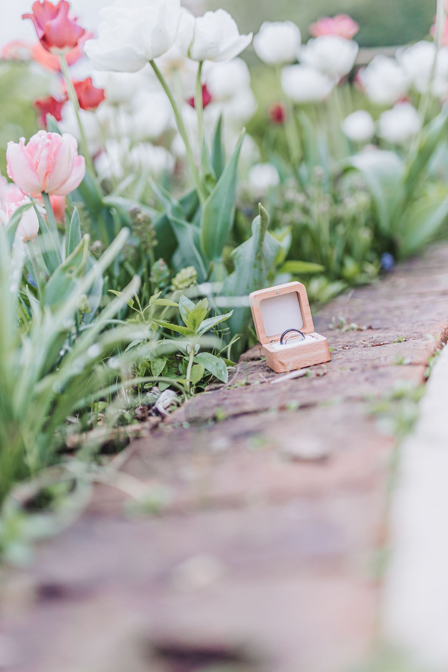 A pink engagement ring box nestled among blooming spring tulips and flowers in a garden setting.