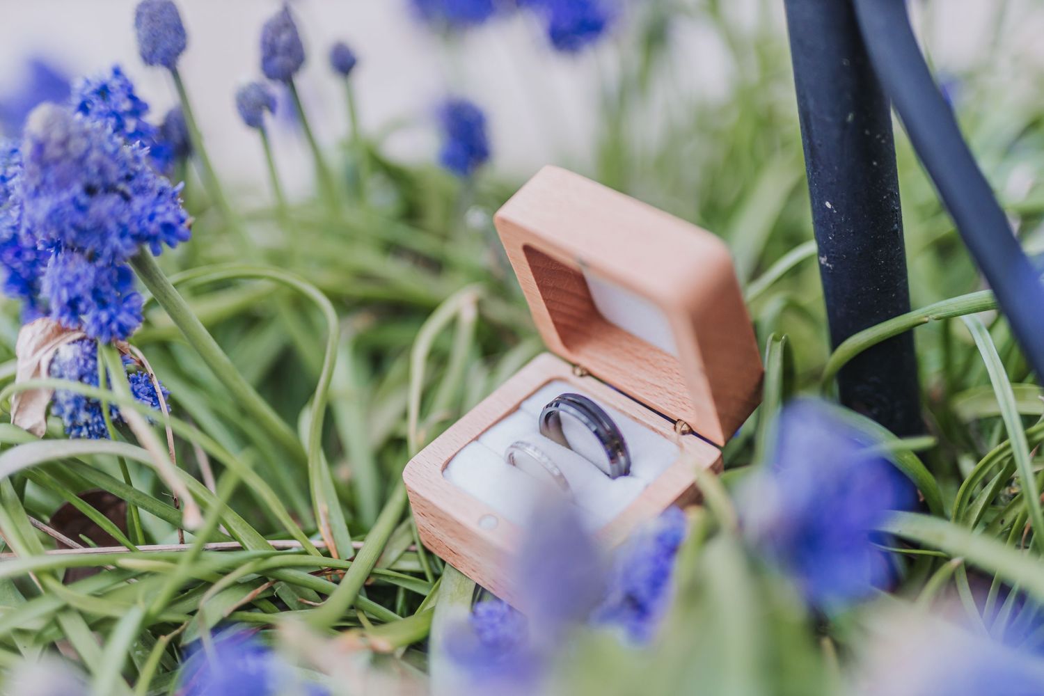 Delicate blue cornflowers bloom among green grass with a pink clay pot in soft natural lighting.