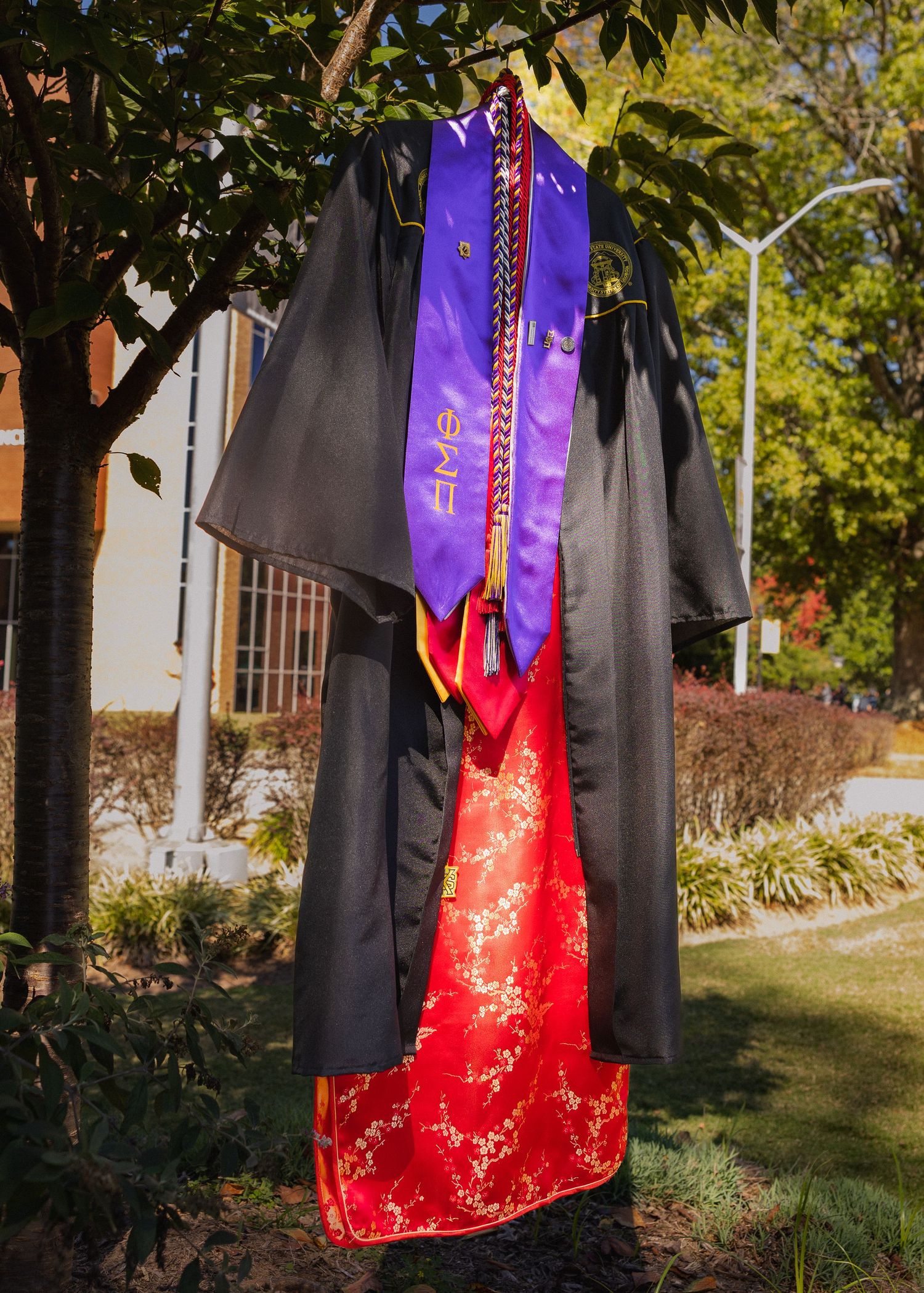 A black graduation gown with purple stole and red traditional Chinese dress hanging on a tree branch outdoors.