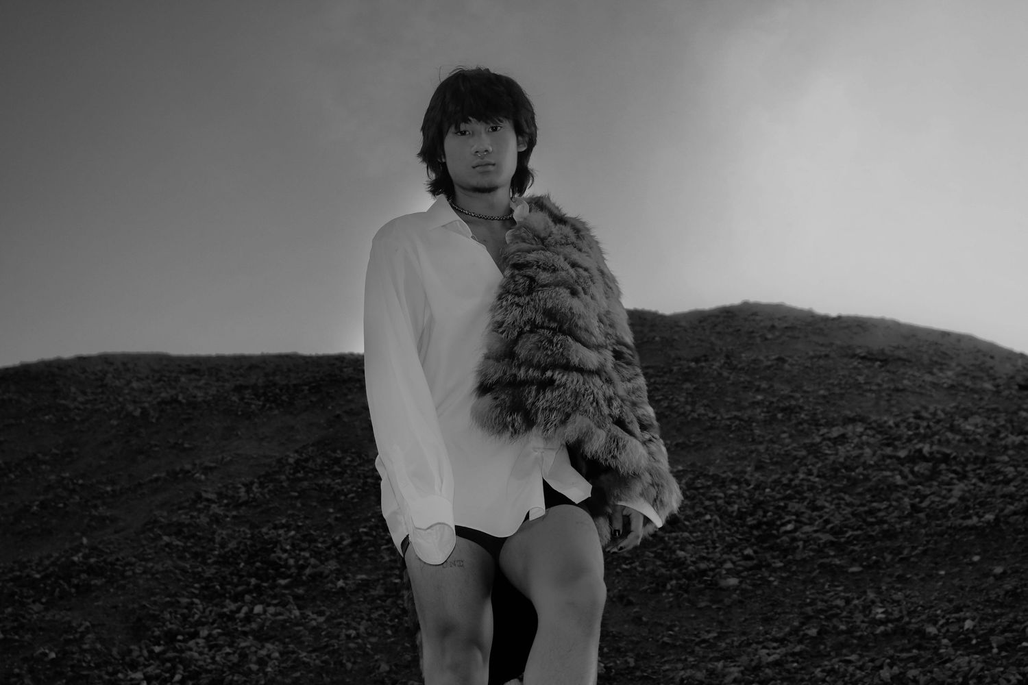 Black and white portrait of someone wearing a white shirt holding a fluffy cat on a hillside.