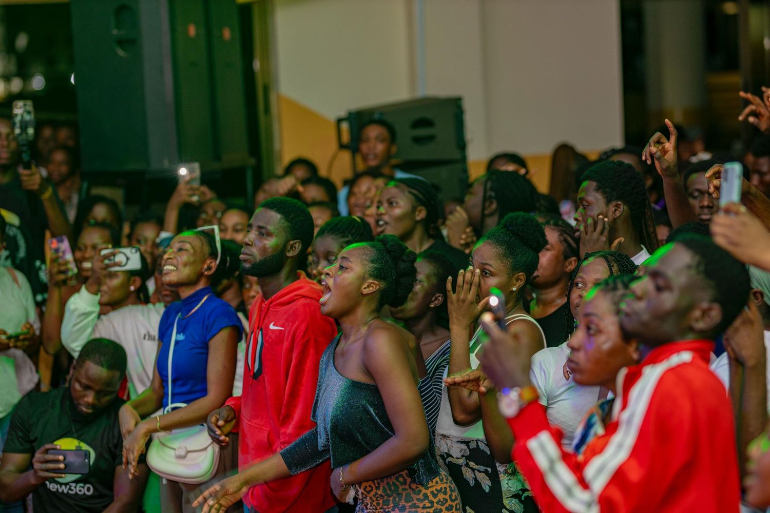 Enthusiastic crowd watching and cheering during a live performance event.