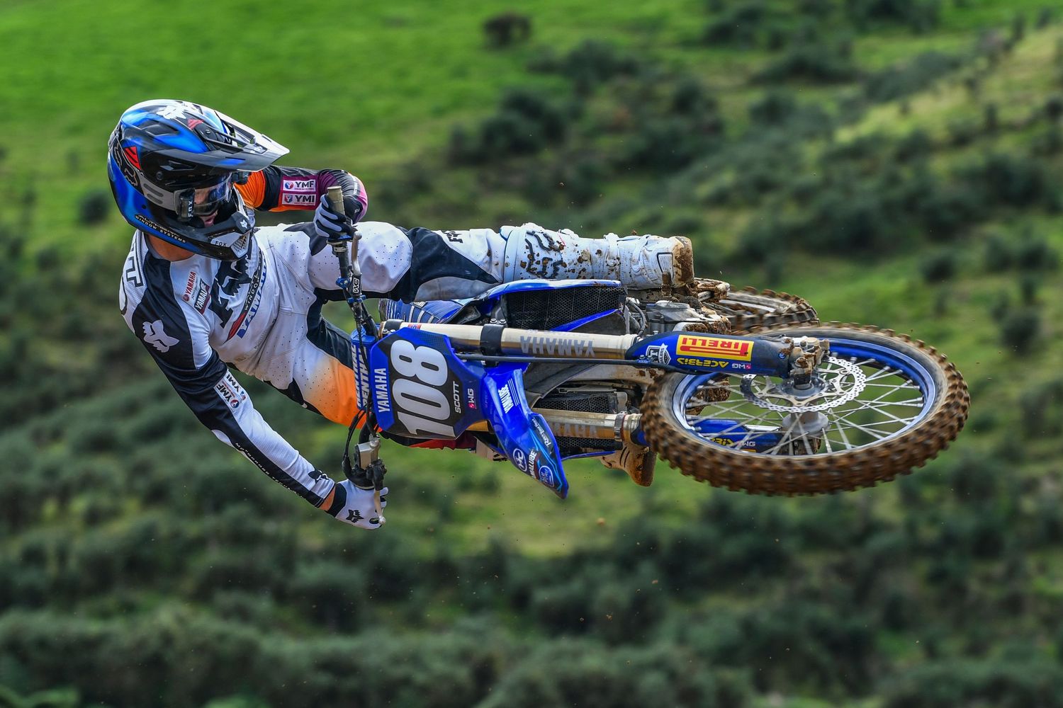 James Scott 2024