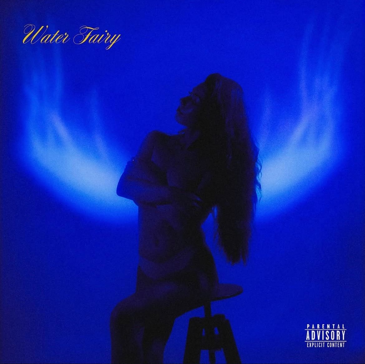 Eye-catching Album Cover Art for Sydney Artists