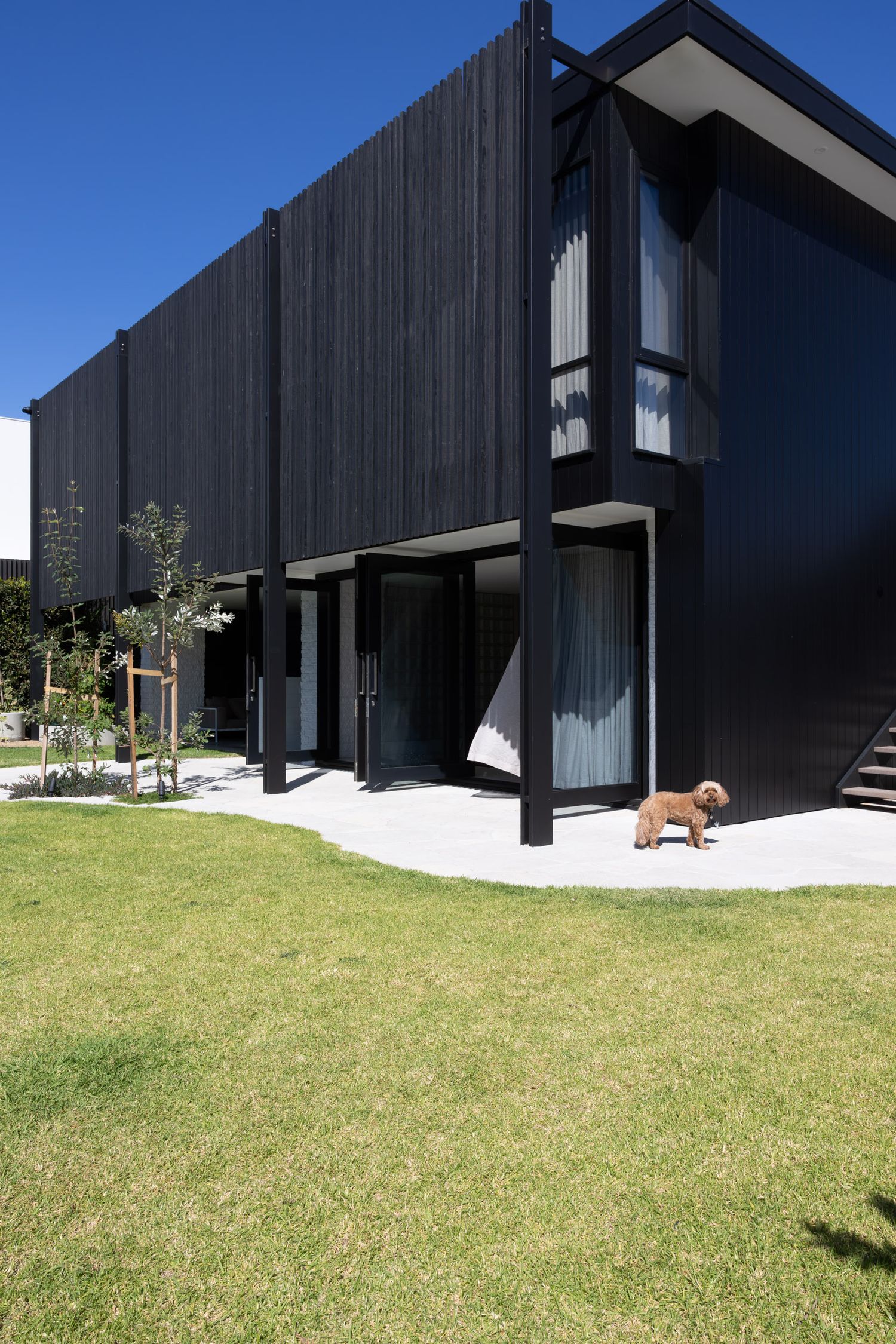 Contemporary black-clad house exterior with glass doors and small dog on concrete path.