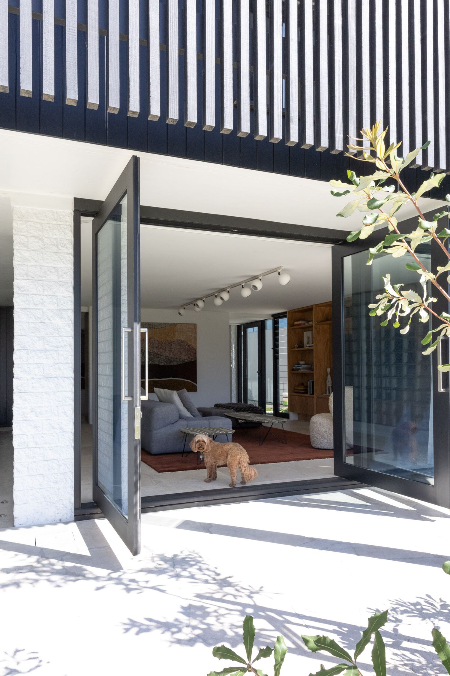 Black and white modern entrance with folding glass doors and small dog in living room.
