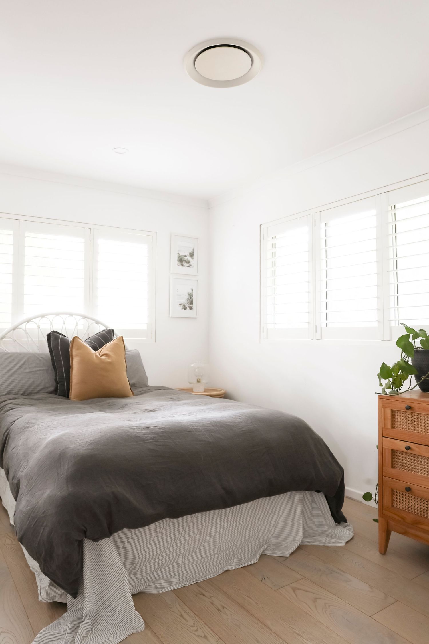 Modern bedroom with gray bedding, wooden nightstand, and plant features bright white walls and natural light from windows.